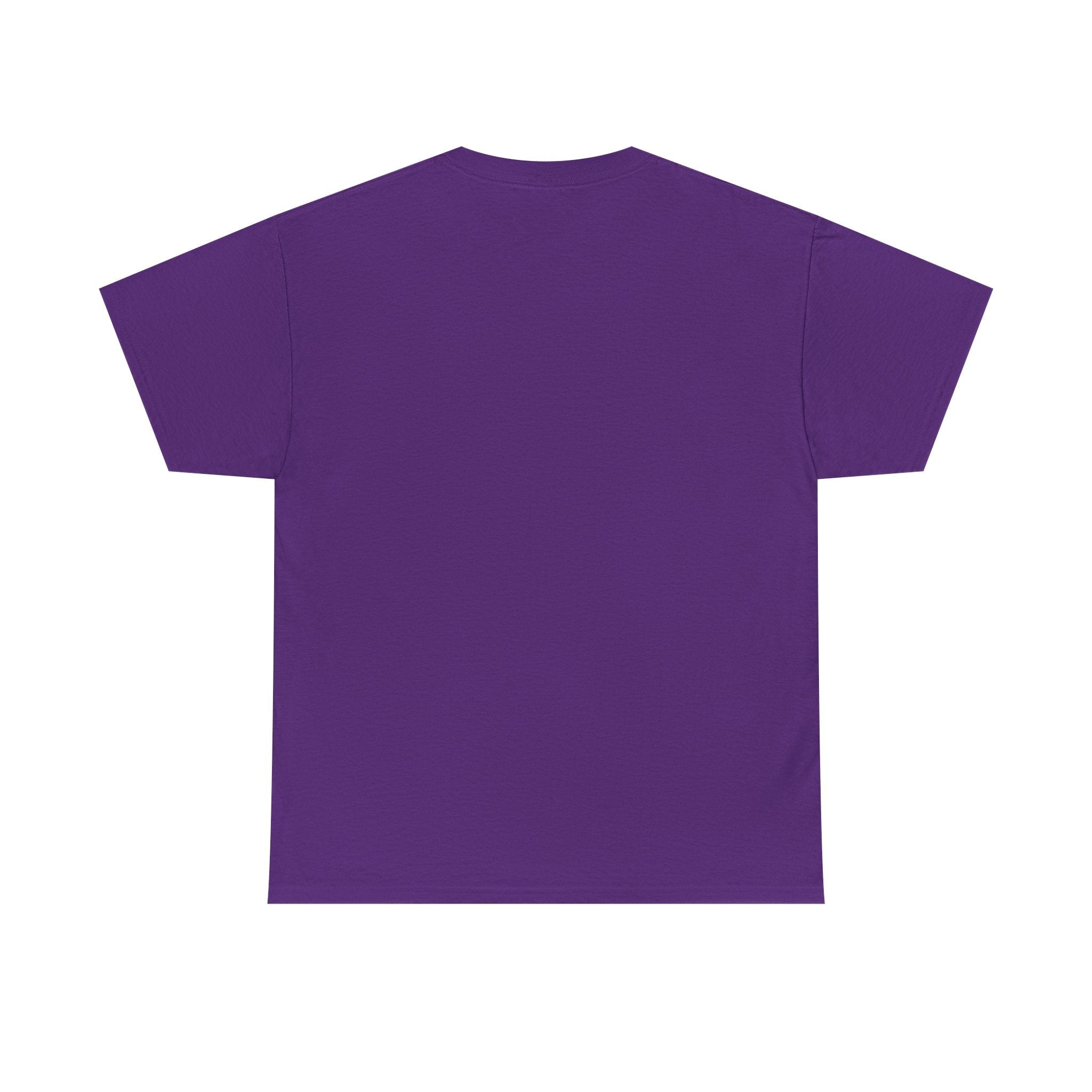 “Cool as me” Galactic Wizard Meme Heavyweight Cotton T-Shirt - The Galactic Wizard Emporium - T-Shirt