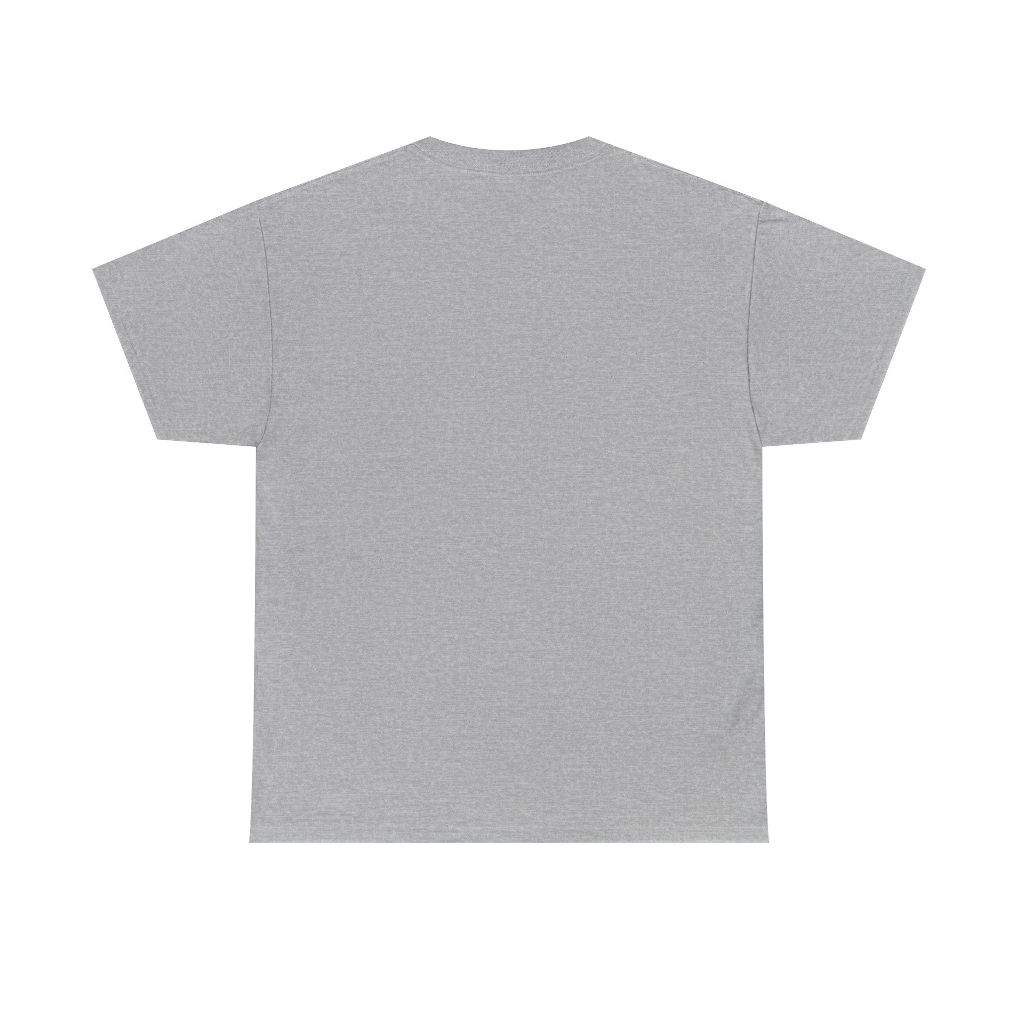 “Cool as me” Galactic Wizard Meme Heavyweight Cotton T-Shirt - The Galactic Wizard Emporium - T-Shirt