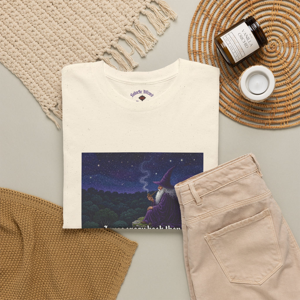 “I was crazy back then” Galactic Wizard Meme Heavyweight Cotton T-Shirt - The Galactic Wizard Emporium - T-Shirt