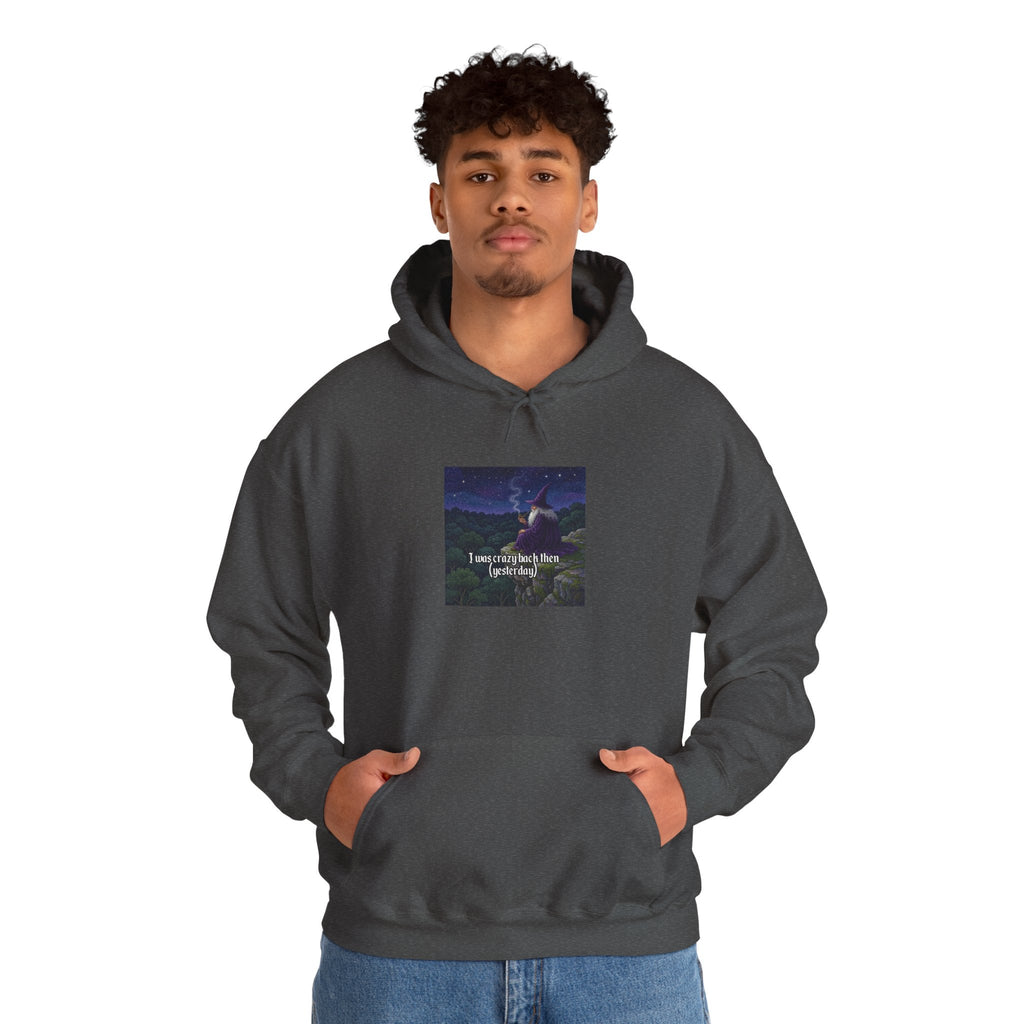 “I was crazy back then” Galactic Wizard Meme Unisex Hooded Sweatshirt - The Galactic Wizard Emporium - Hoodie