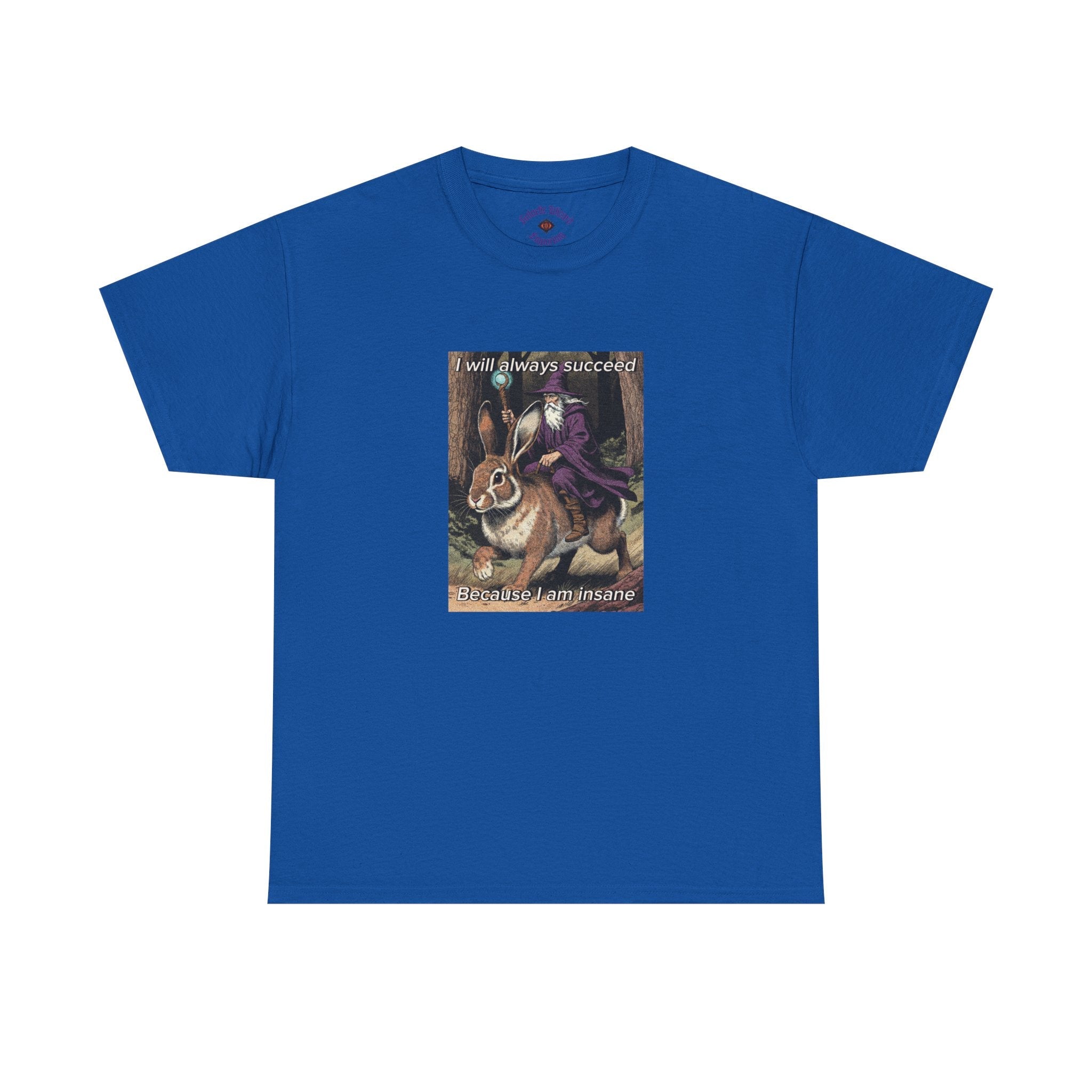 “I will always succeed because I am insane” Galactic Wizard Meme Heavyweight Cotton T-Shirt - The Galactic Wizard Emporium - T-Shirt