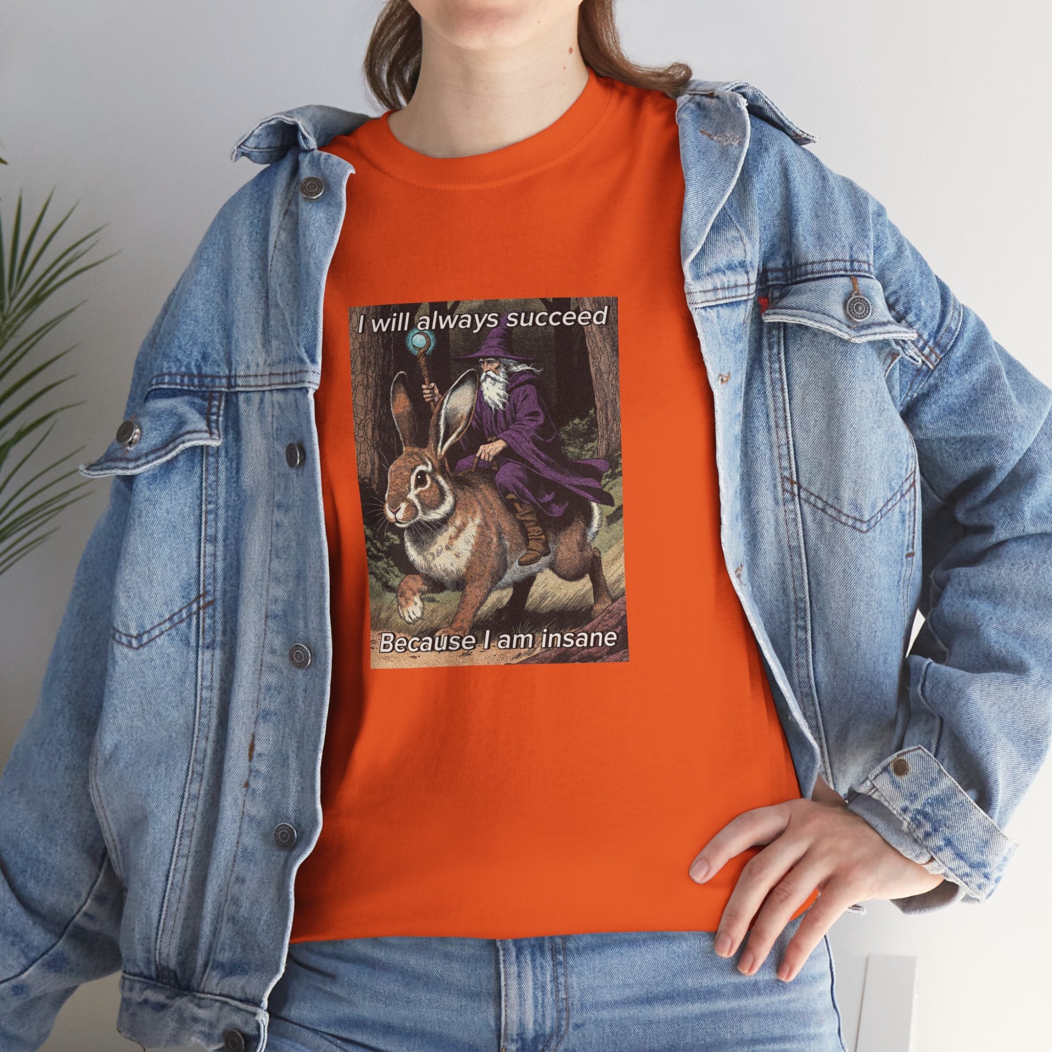 “I will always succeed because I am insane” Galactic Wizard Meme Heavyweight Cotton T-Shirt - The Galactic Wizard Emporium - T-Shirt