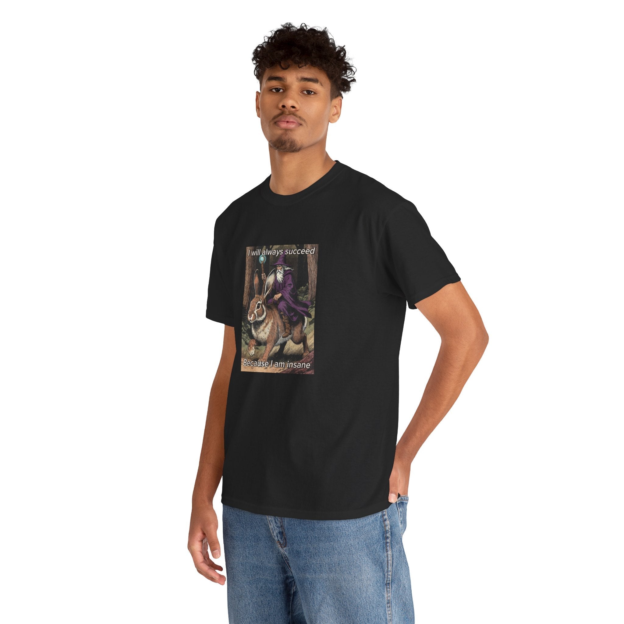 “I will always succeed because I am insane” Galactic Wizard Meme Heavyweight Cotton T-Shirt - The Galactic Wizard Emporium - T-Shirt