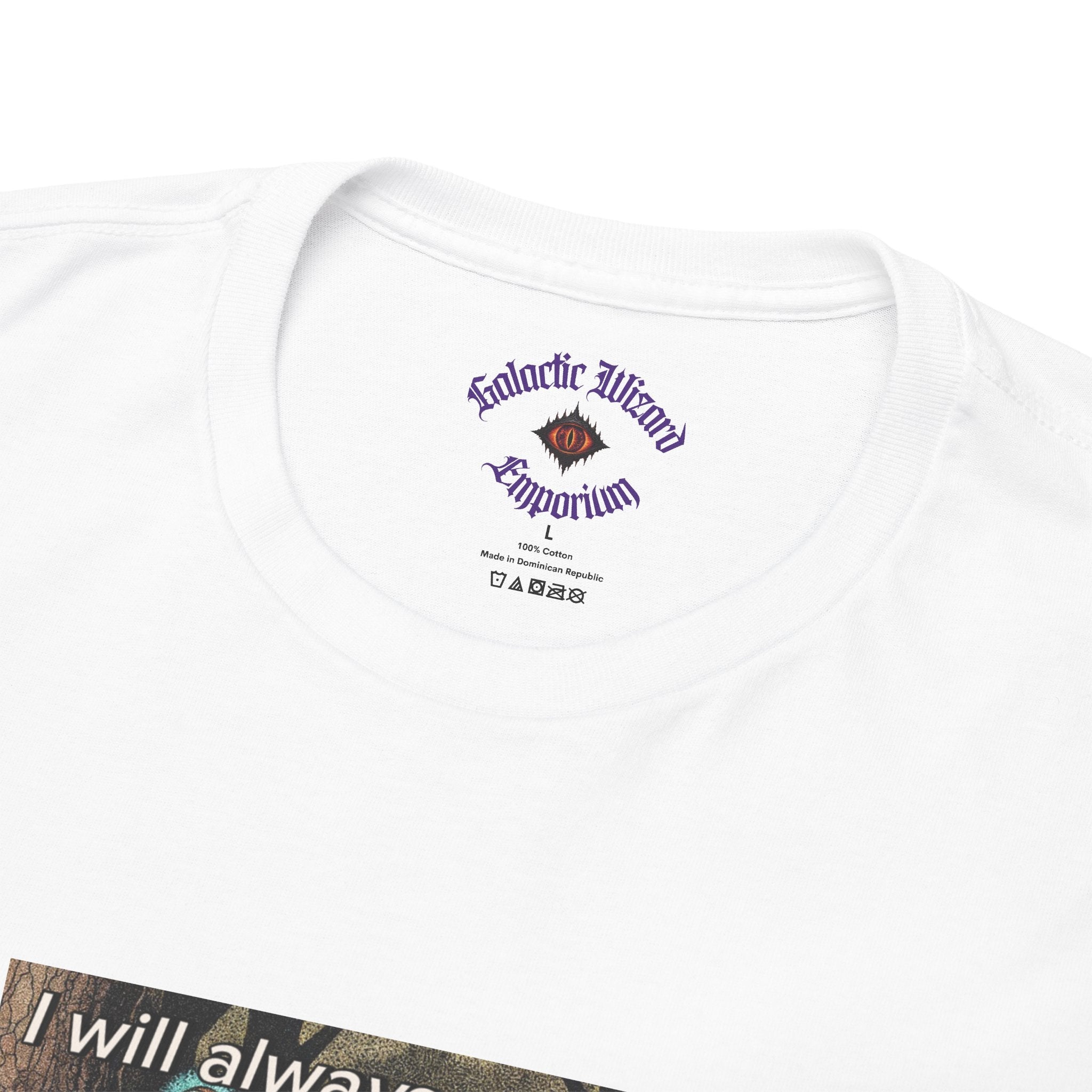 “I will always succeed because I am insane” Galactic Wizard Meme Heavyweight Cotton T-Shirt - The Galactic Wizard Emporium - T-Shirt
