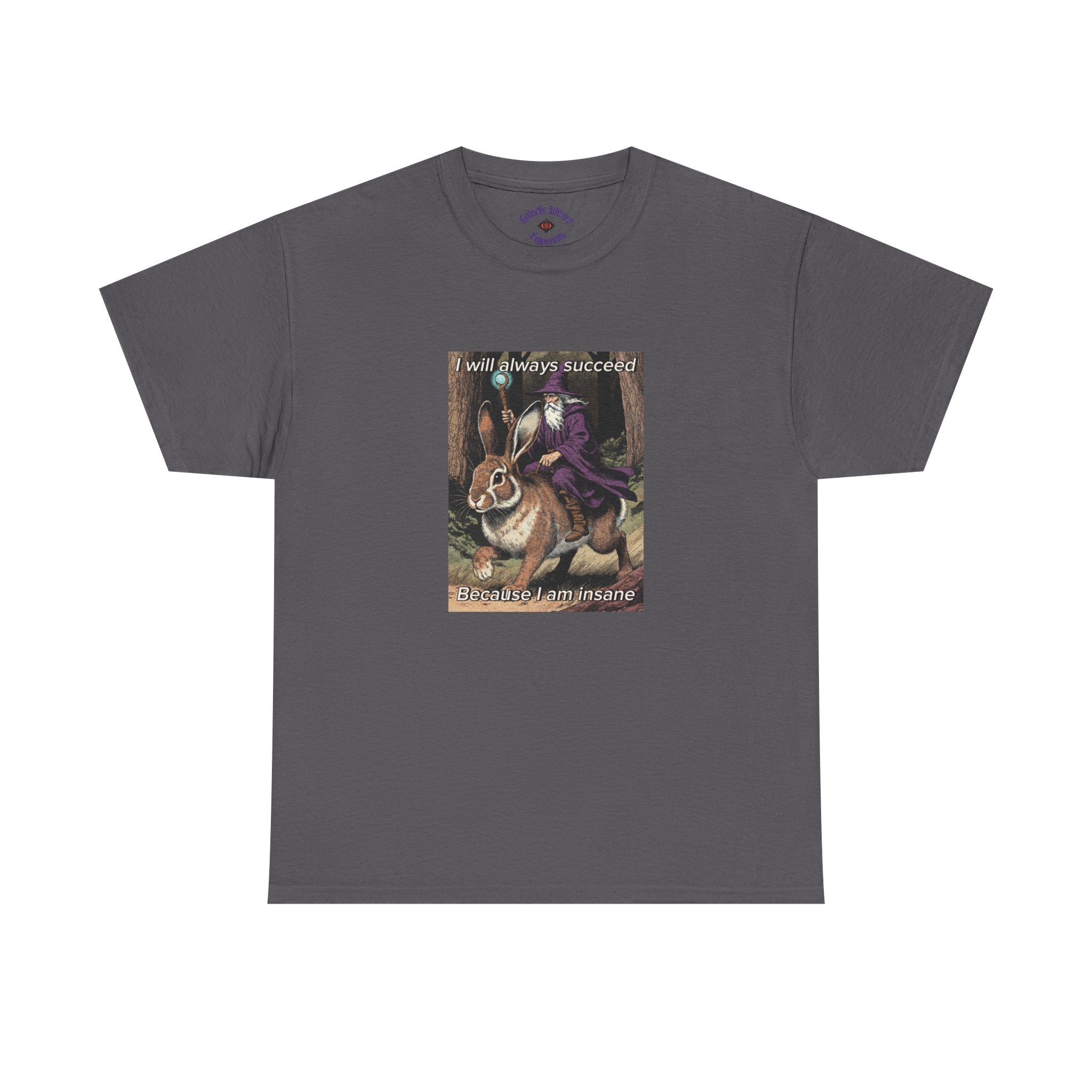 “I will always succeed because I am insane” Galactic Wizard Meme Heavyweight Cotton T-Shirt - The Galactic Wizard Emporium - T-Shirt