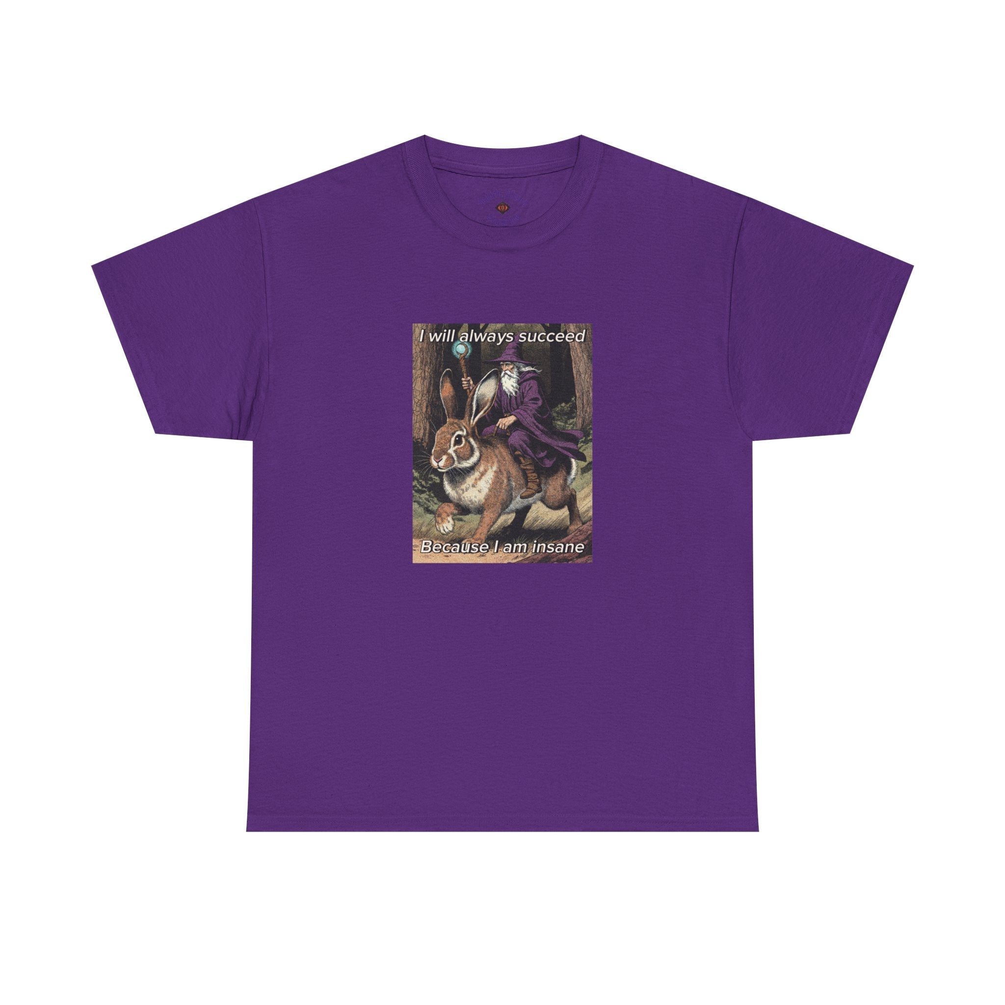 “I will always succeed because I am insane” Galactic Wizard Meme Heavyweight Cotton T-Shirt - The Galactic Wizard Emporium - T-Shirt