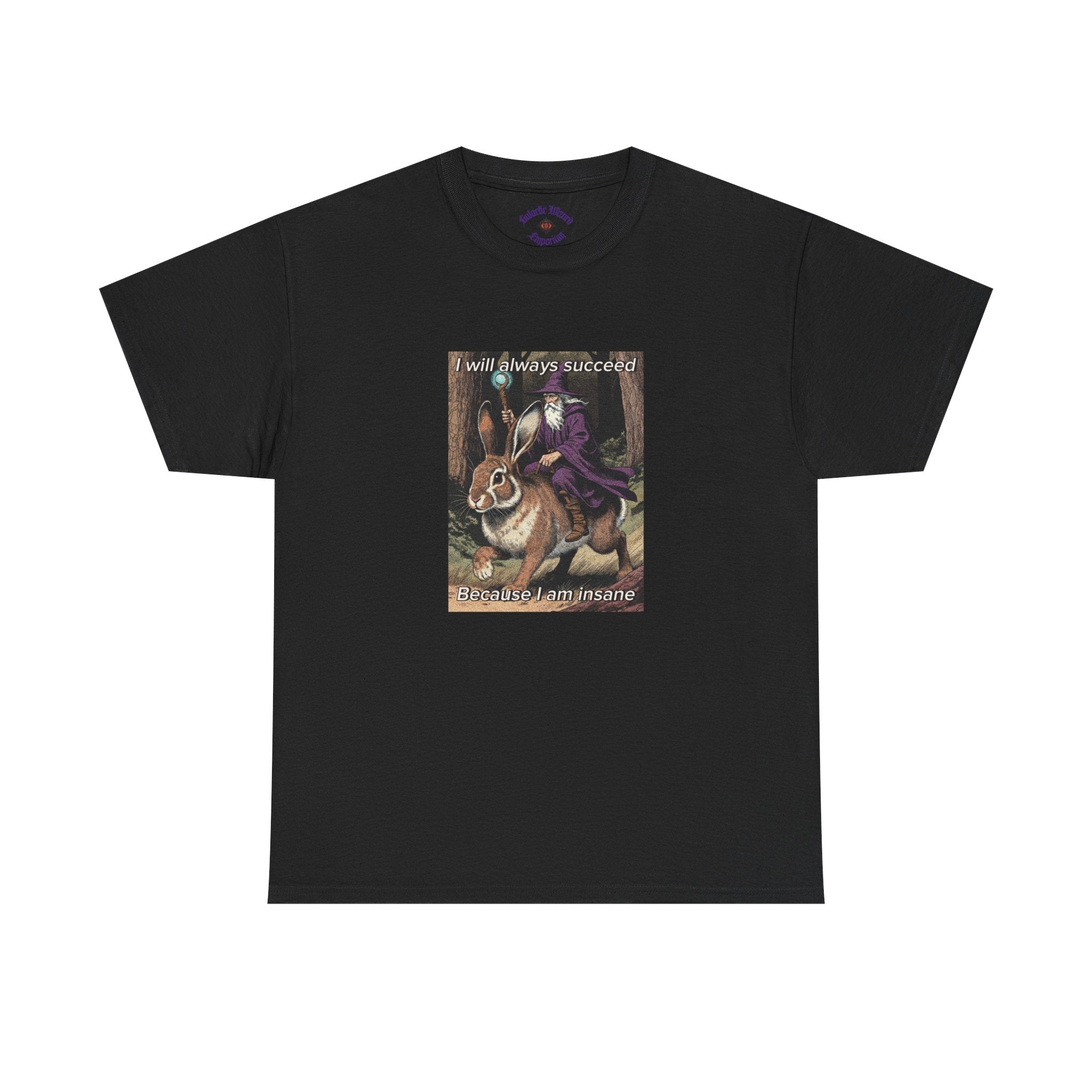 “I will always succeed because I am insane” Galactic Wizard Meme Heavyweight Cotton T-Shirt - The Galactic Wizard Emporium - T-Shirt