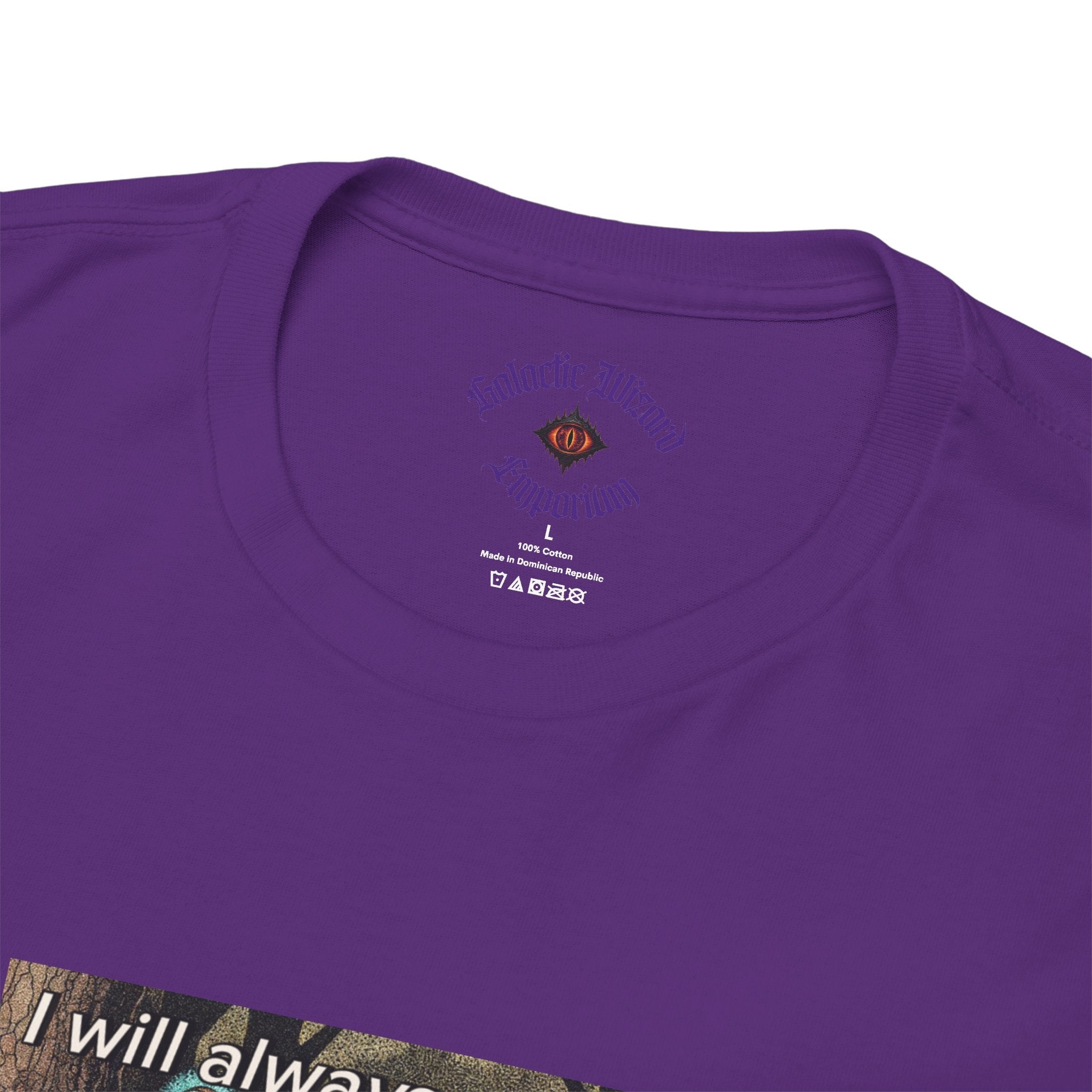 “I will always succeed because I am insane” Galactic Wizard Meme Heavyweight Cotton T-Shirt - The Galactic Wizard Emporium - T-Shirt
