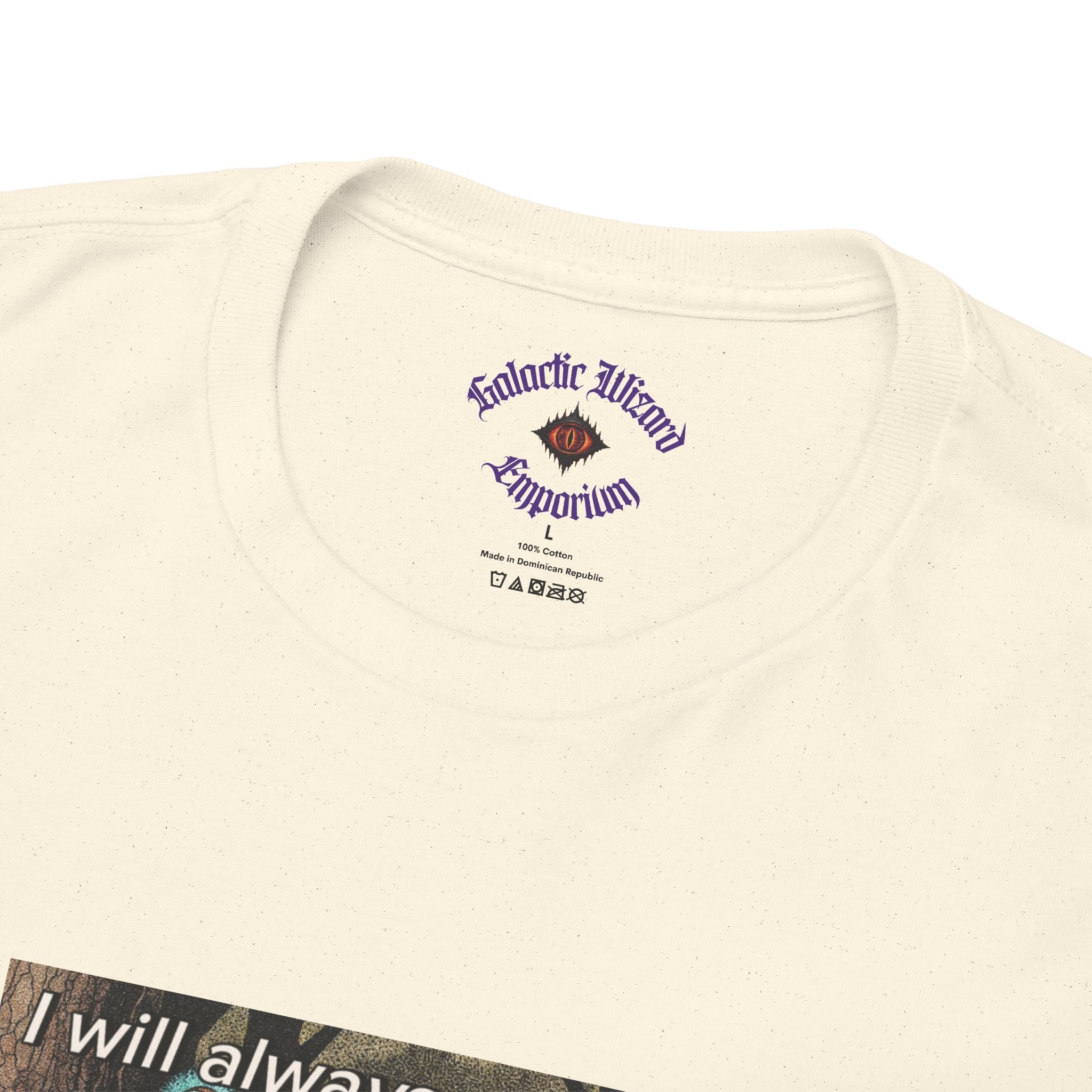 “I will always succeed because I am insane” Galactic Wizard Meme Heavyweight Cotton T-Shirt - The Galactic Wizard Emporium - T-Shirt