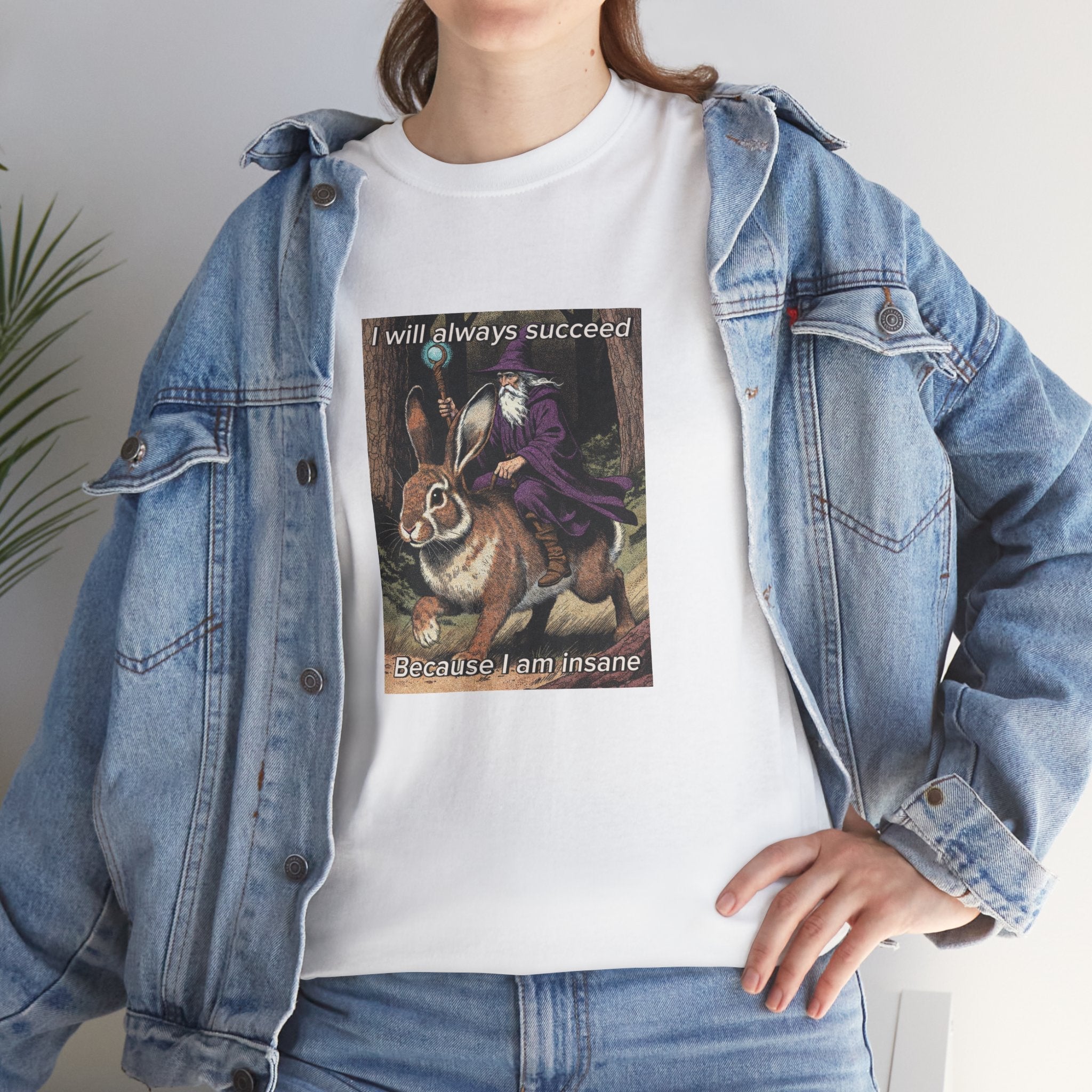 “I will always succeed because I am insane” Galactic Wizard Meme Heavyweight Cotton T-Shirt - The Galactic Wizard Emporium - T-Shirt