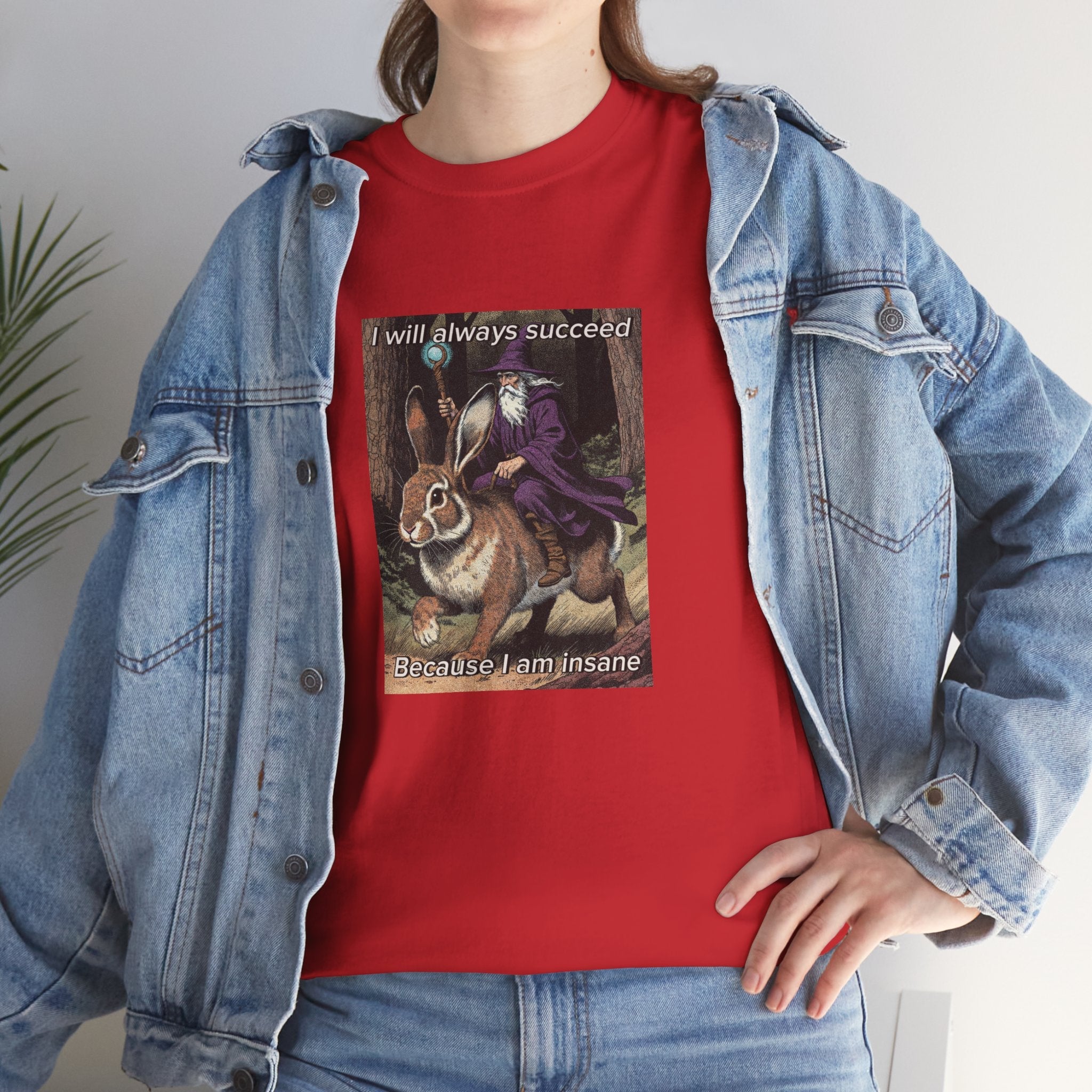 “I will always succeed because I am insane” Galactic Wizard Meme Heavyweight Cotton T-Shirt - The Galactic Wizard Emporium - T-Shirt