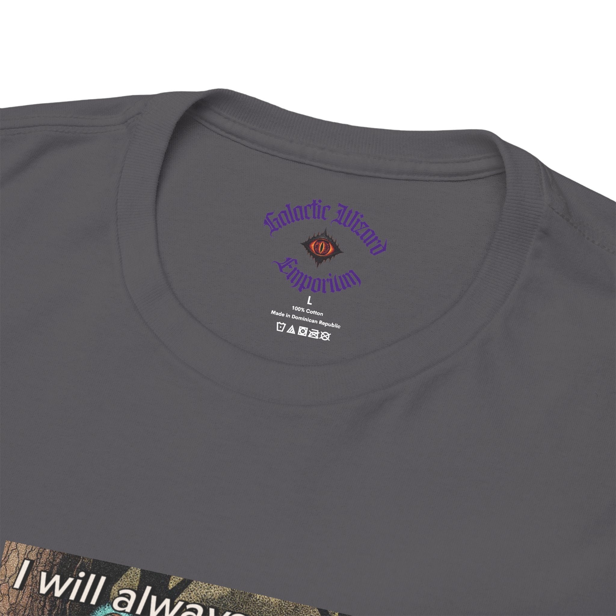 “I will always succeed because I am insane” Galactic Wizard Meme Heavyweight Cotton T-Shirt - The Galactic Wizard Emporium - T-Shirt