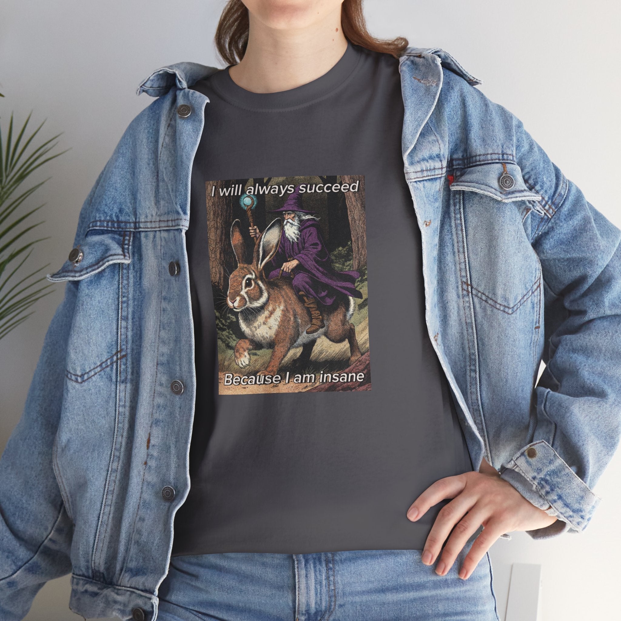 “I will always succeed because I am insane” Galactic Wizard Meme Heavyweight Cotton T-Shirt - The Galactic Wizard Emporium - T-Shirt