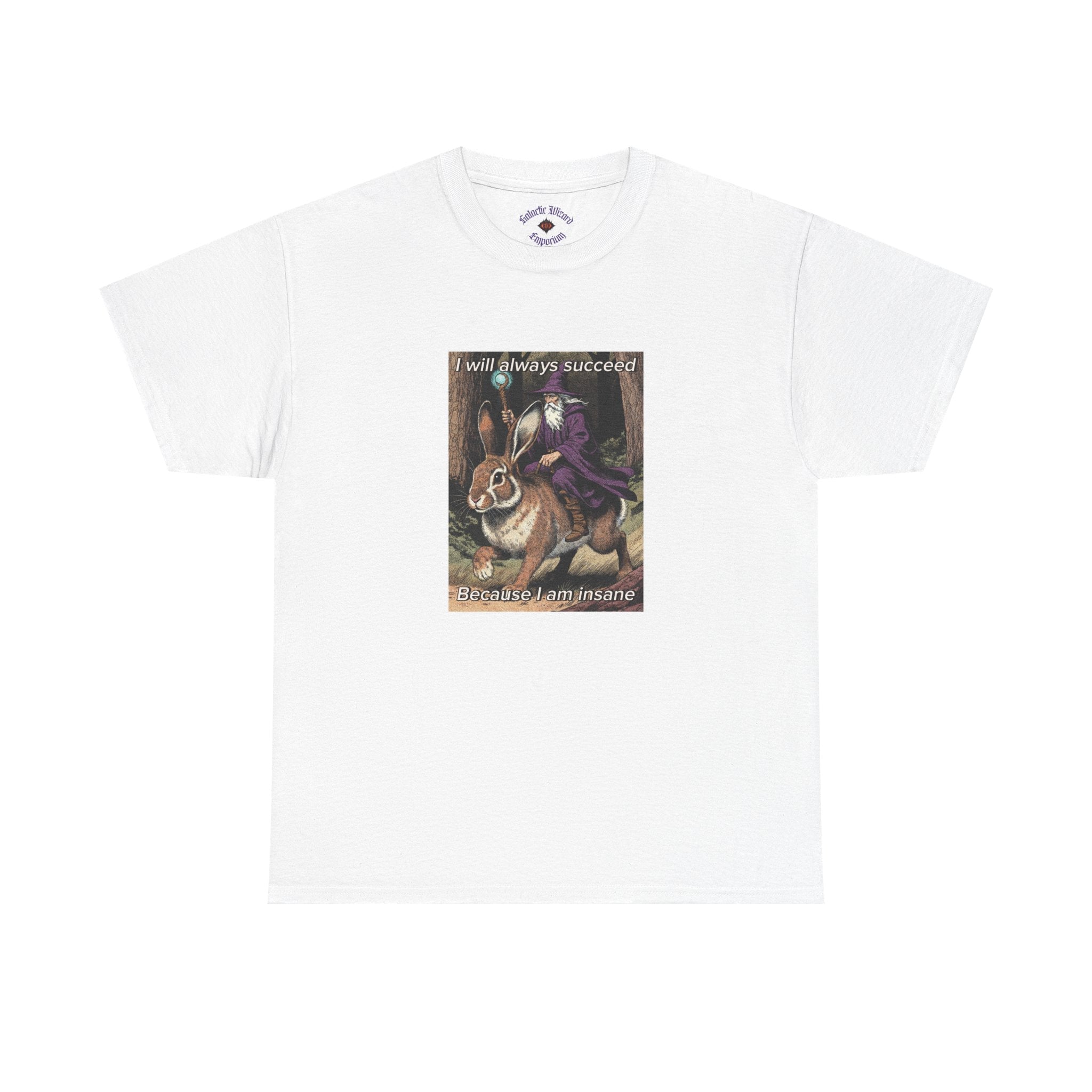 “I will always succeed because I am insane” Galactic Wizard Meme Heavyweight Cotton T-Shirt - The Galactic Wizard Emporium - T-Shirt