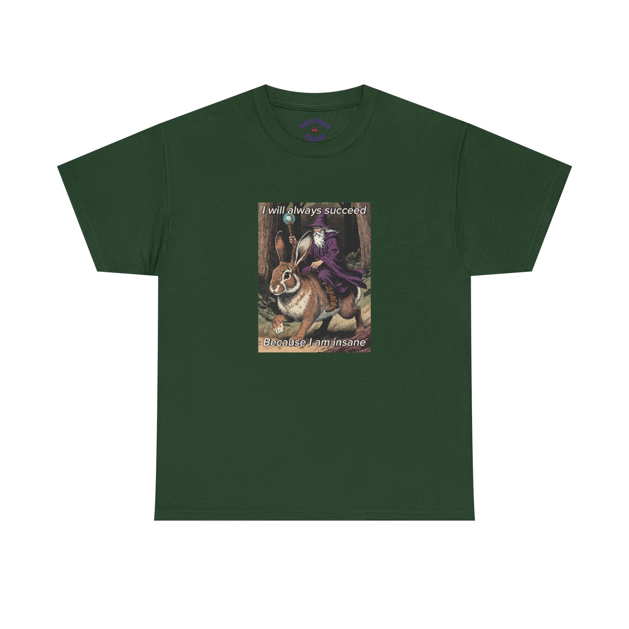 “I will always succeed because I am insane” Galactic Wizard Meme Heavyweight Cotton T-Shirt - The Galactic Wizard Emporium - T-Shirt