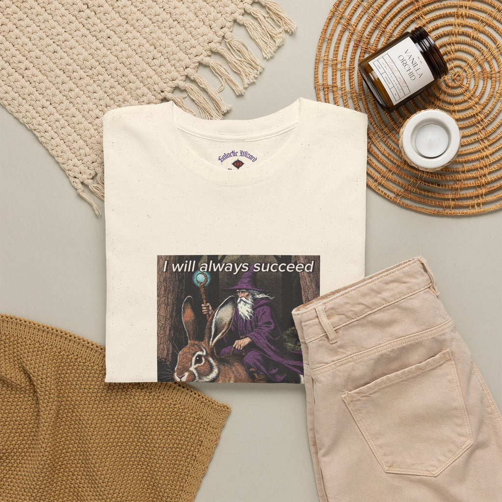 “I will always succeed because I am insane” Galactic Wizard Meme Heavyweight Cotton T-Shirt - The Galactic Wizard Emporium - T-Shirt