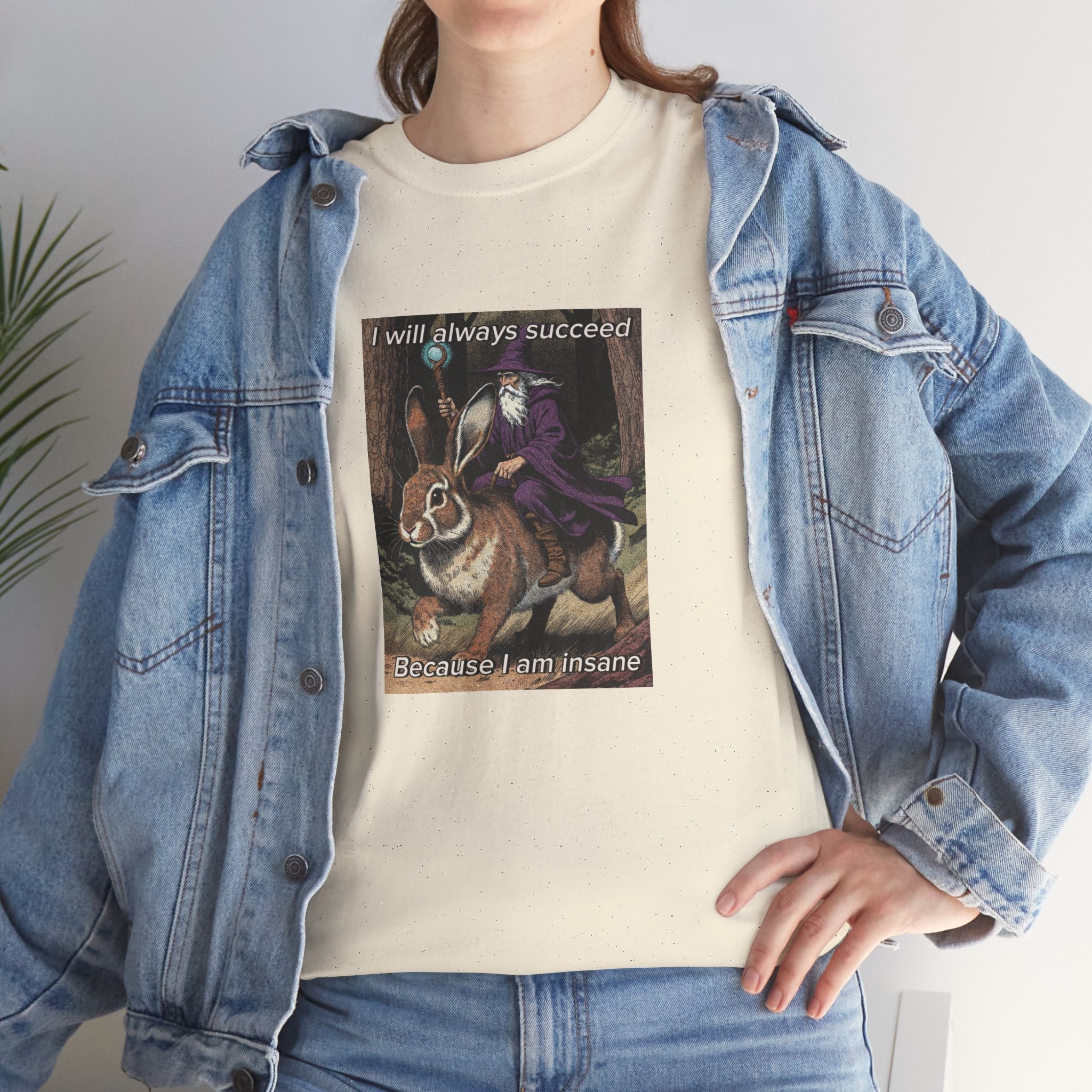 “I will always succeed because I am insane” Galactic Wizard Meme Heavyweight Cotton T-Shirt - The Galactic Wizard Emporium - T-Shirt
