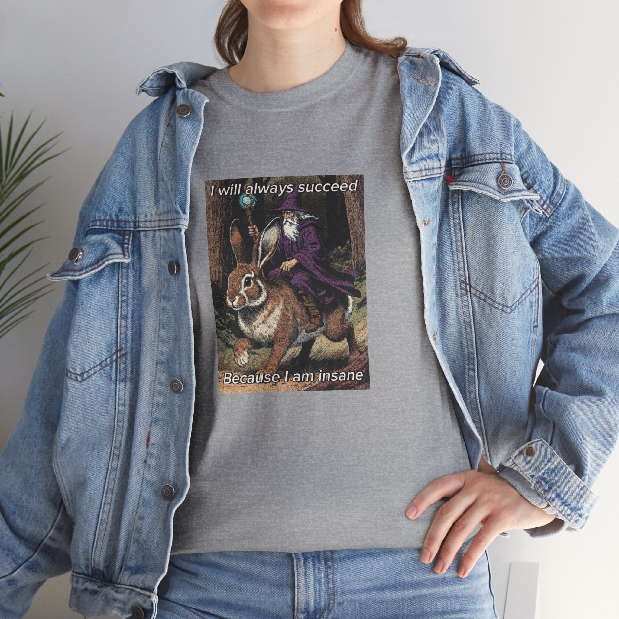 “I will always succeed because I am insane” Galactic Wizard Meme Heavyweight Cotton T-Shirt - The Galactic Wizard Emporium - T-Shirt