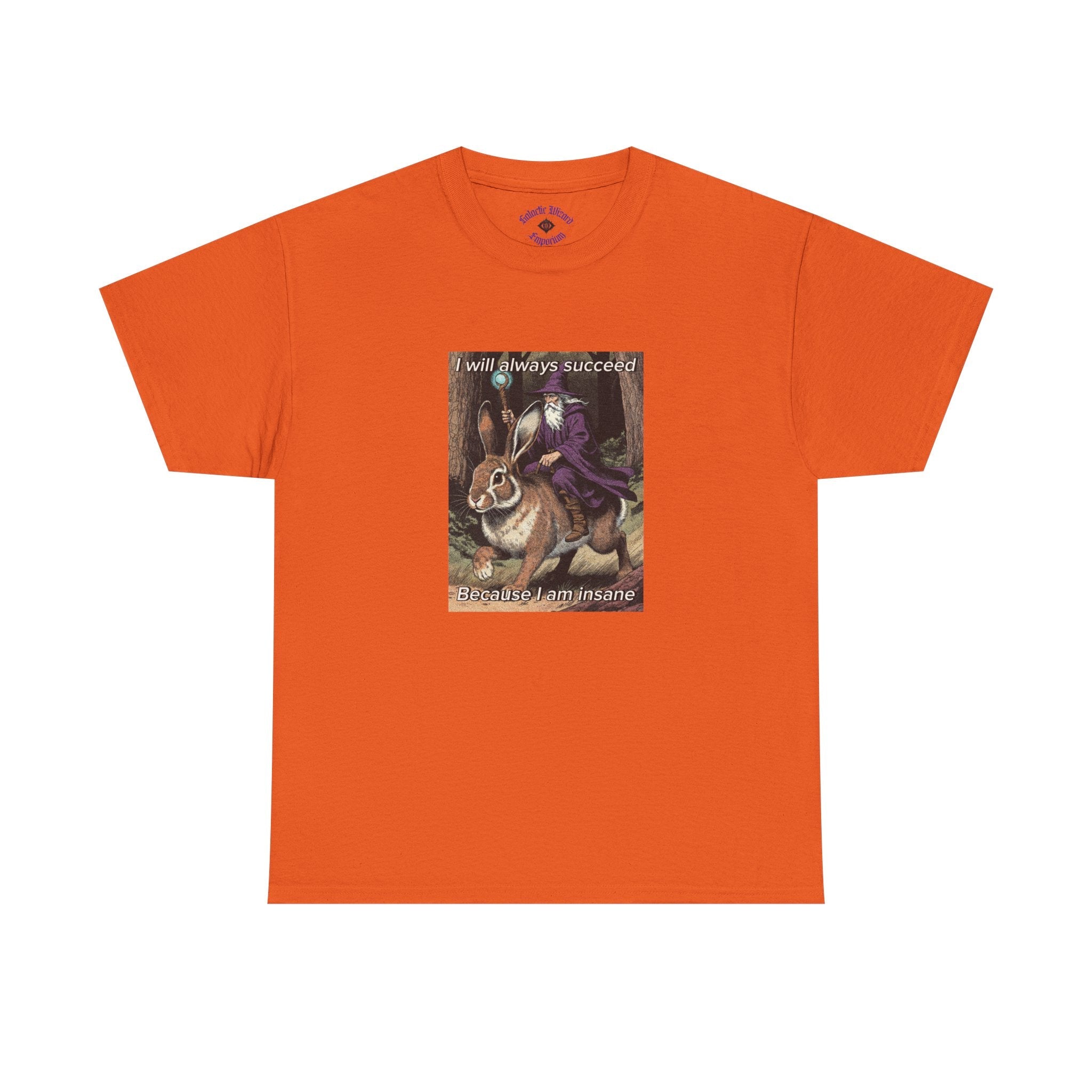 “I will always succeed because I am insane” Galactic Wizard Meme Heavyweight Cotton T-Shirt - The Galactic Wizard Emporium - T-Shirt