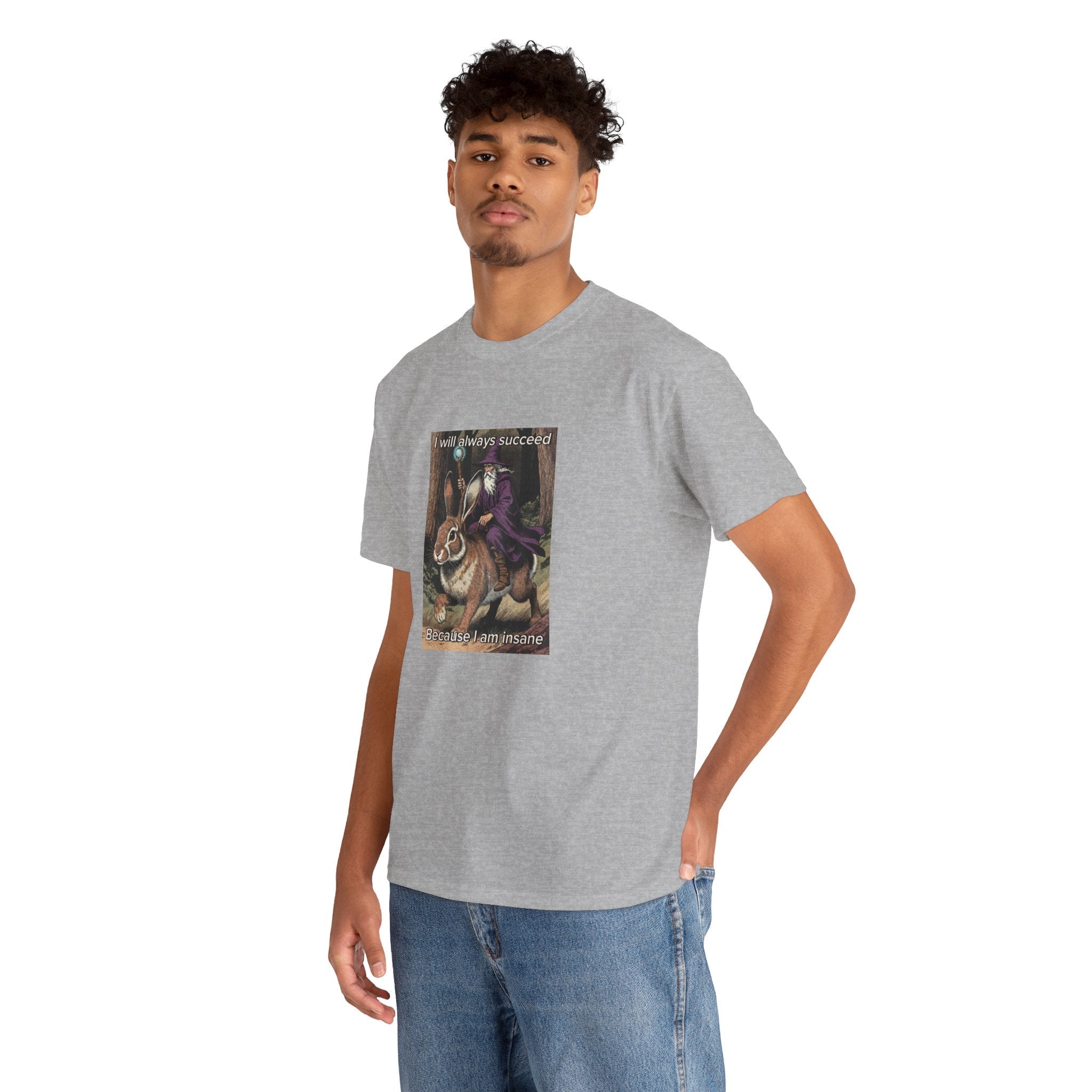 “I will always succeed because I am insane” Galactic Wizard Meme Heavyweight Cotton T-Shirt - The Galactic Wizard Emporium - T-Shirt