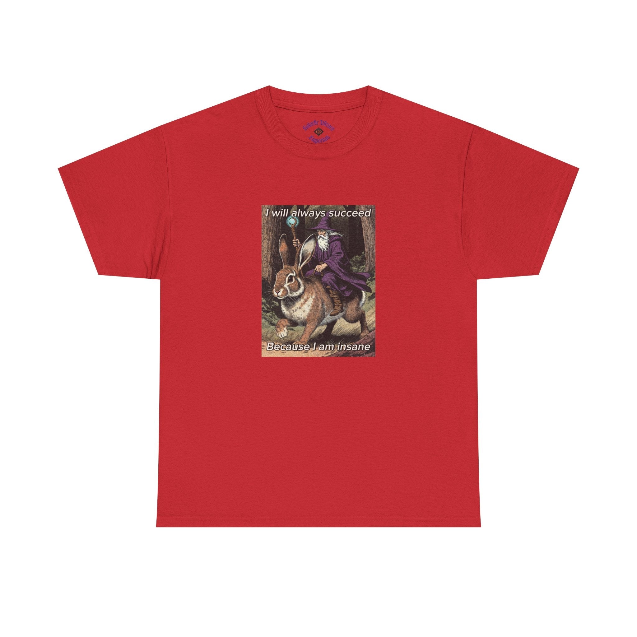 “I will always succeed because I am insane” Galactic Wizard Meme Heavyweight Cotton T-Shirt - The Galactic Wizard Emporium - T-Shirt