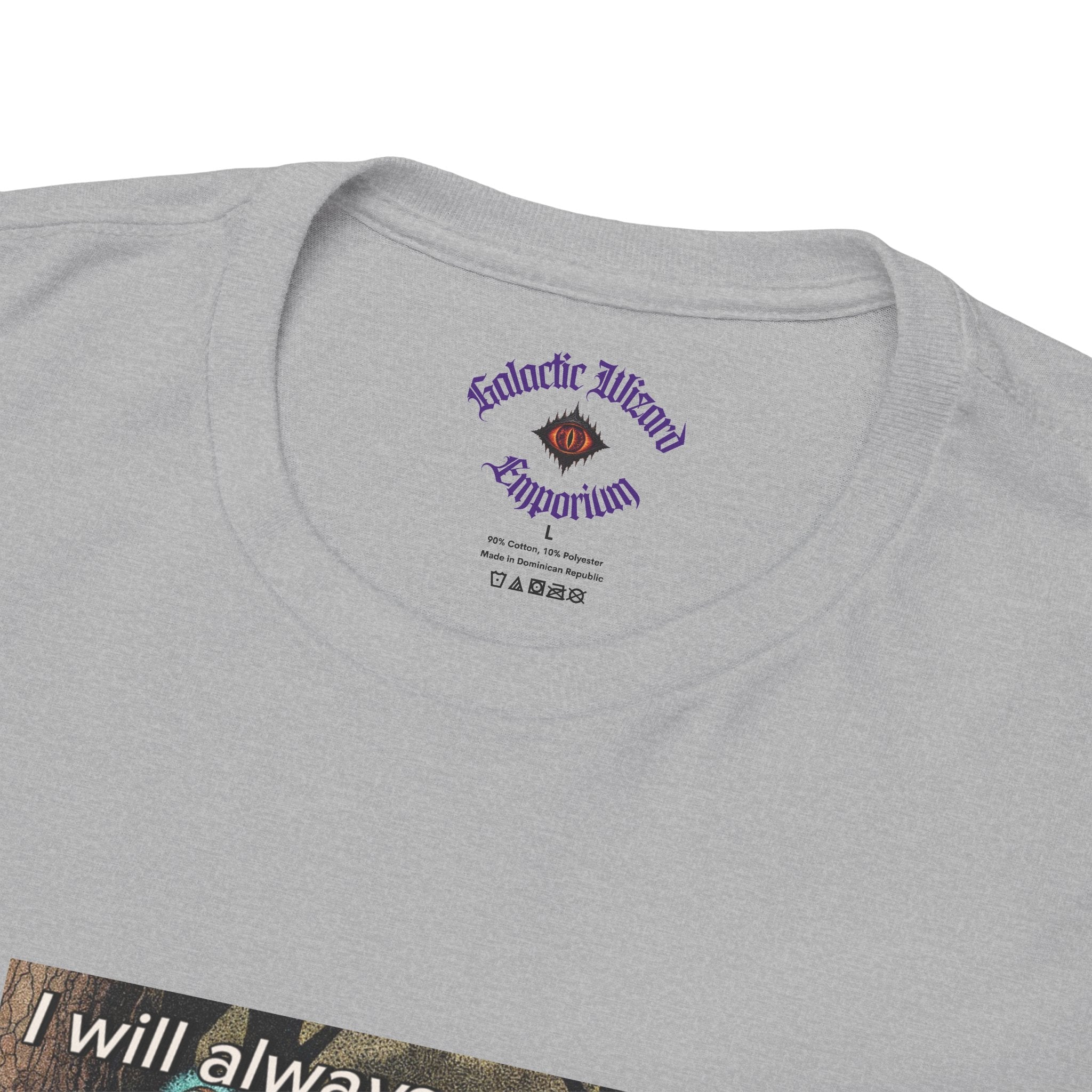 “I will always succeed because I am insane” Galactic Wizard Meme Heavyweight Cotton T-Shirt - The Galactic Wizard Emporium - T-Shirt