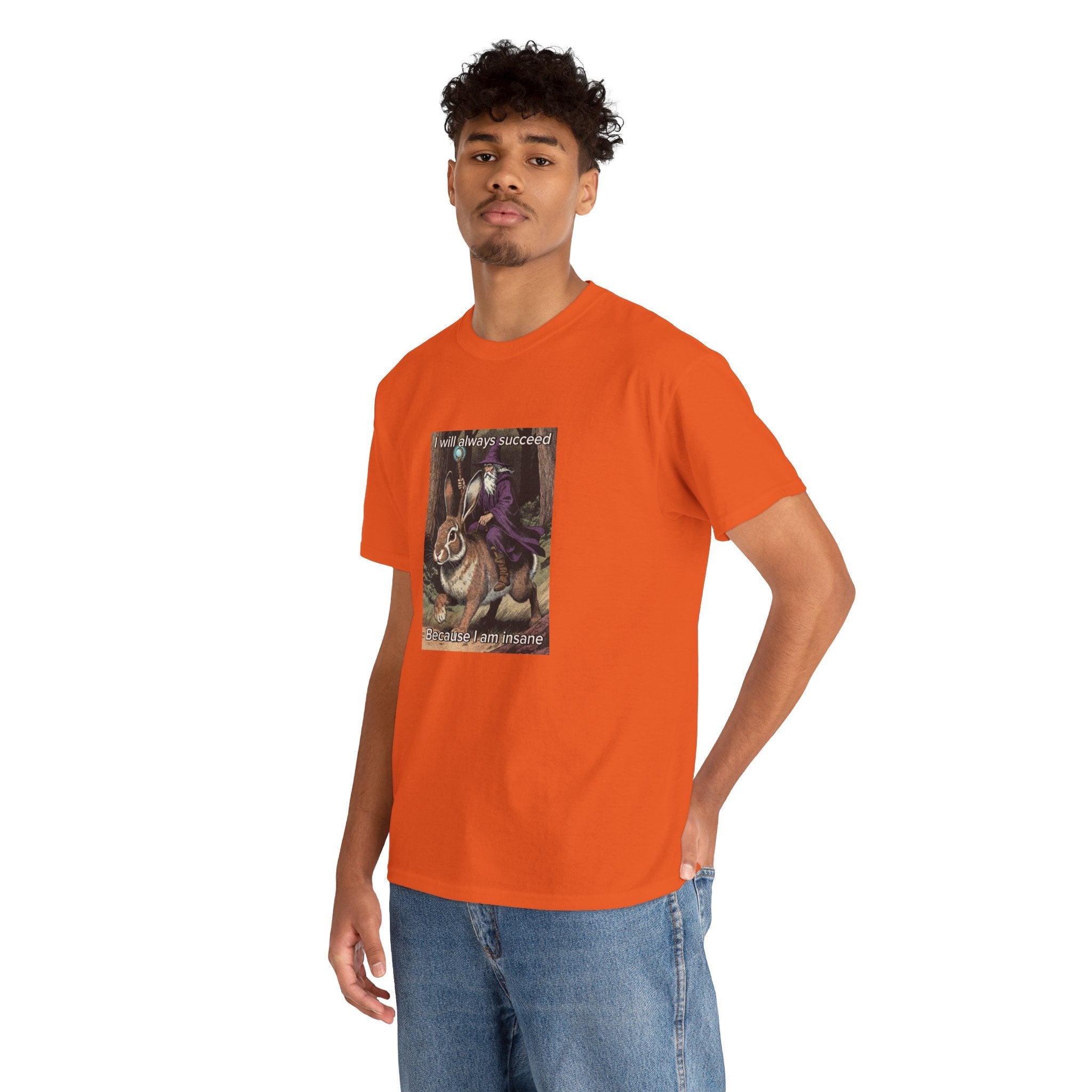 “I will always succeed because I am insane” Galactic Wizard Meme Heavyweight Cotton T-Shirt - The Galactic Wizard Emporium - T-Shirt