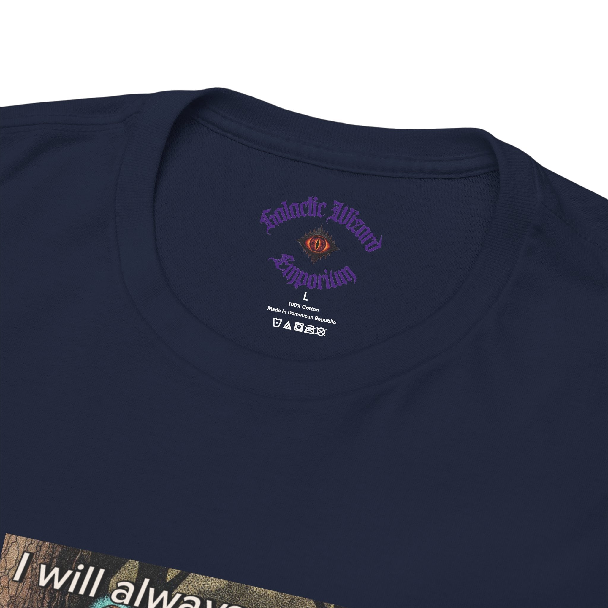 “I will always succeed because I am insane” Galactic Wizard Meme Heavyweight Cotton T-Shirt - The Galactic Wizard Emporium - T-Shirt