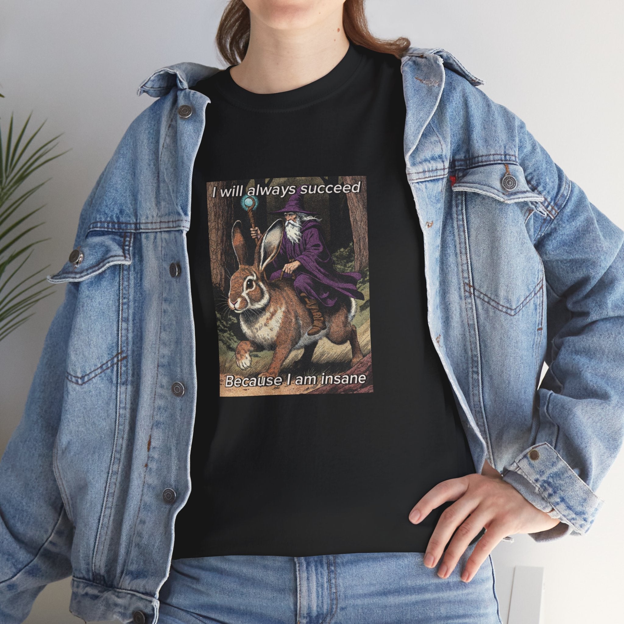“I will always succeed because I am insane” Galactic Wizard Meme Heavyweight Cotton T-Shirt - The Galactic Wizard Emporium - T-Shirt