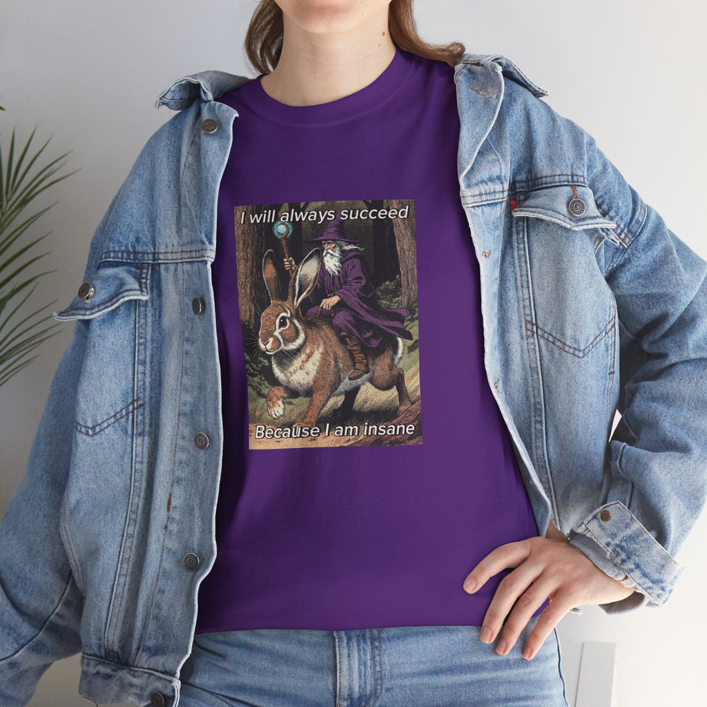“I will always succeed because I am insane” Galactic Wizard Meme Heavyweight Cotton T-Shirt - The Galactic Wizard Emporium - T-Shirt