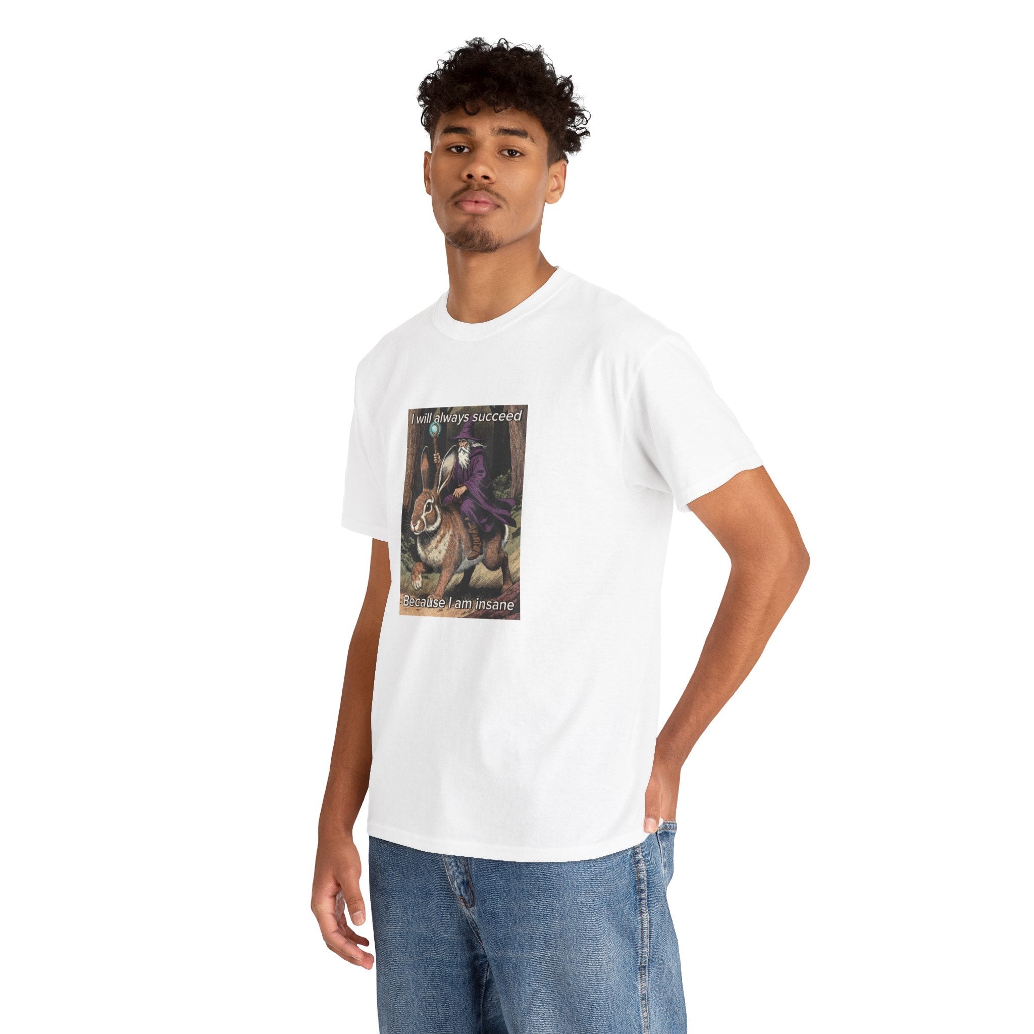 “I will always succeed because I am insane” Galactic Wizard Meme Heavyweight Cotton T-Shirt - The Galactic Wizard Emporium - T-Shirt