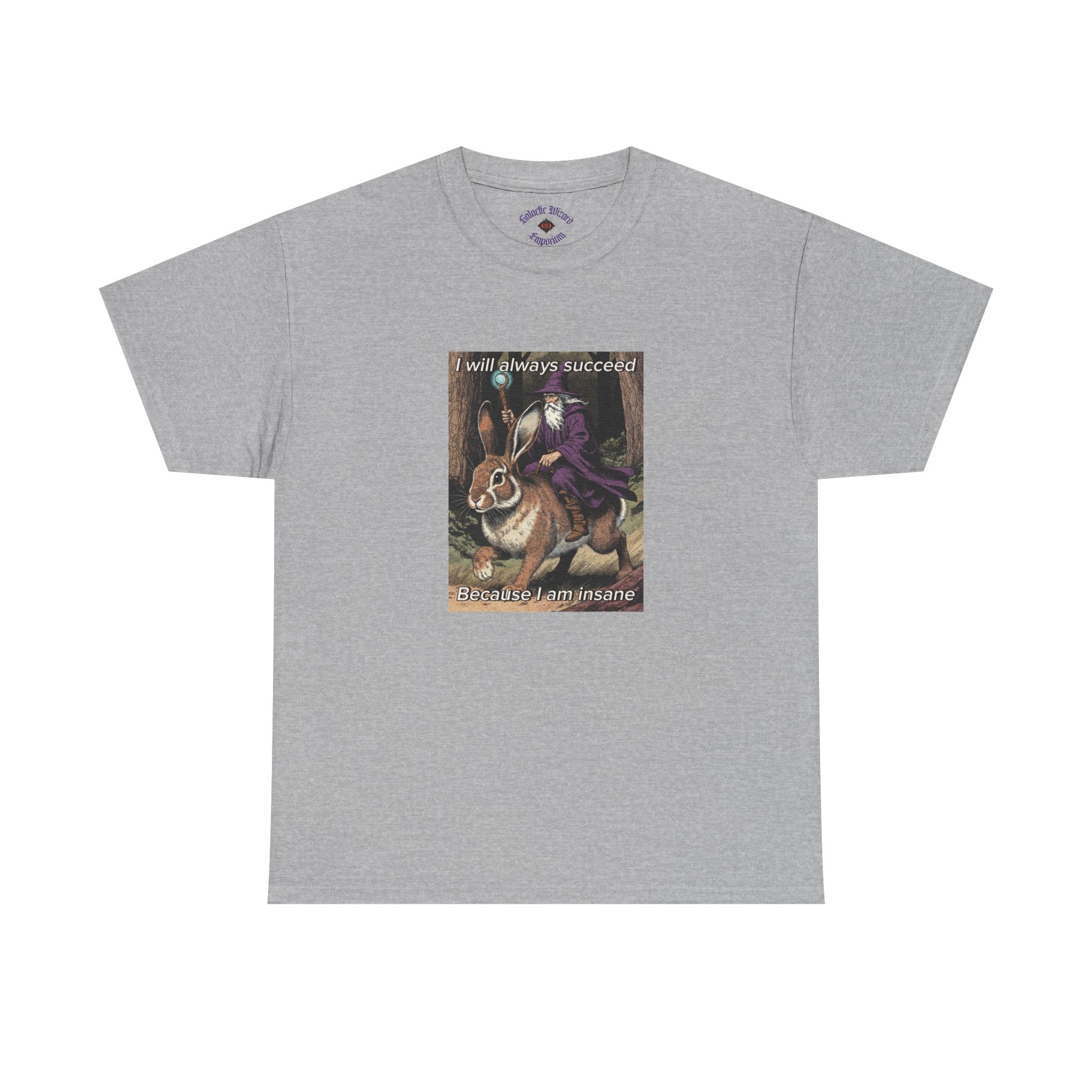 “I will always succeed because I am insane” Galactic Wizard Meme Heavyweight Cotton T-Shirt - The Galactic Wizard Emporium - T-Shirt