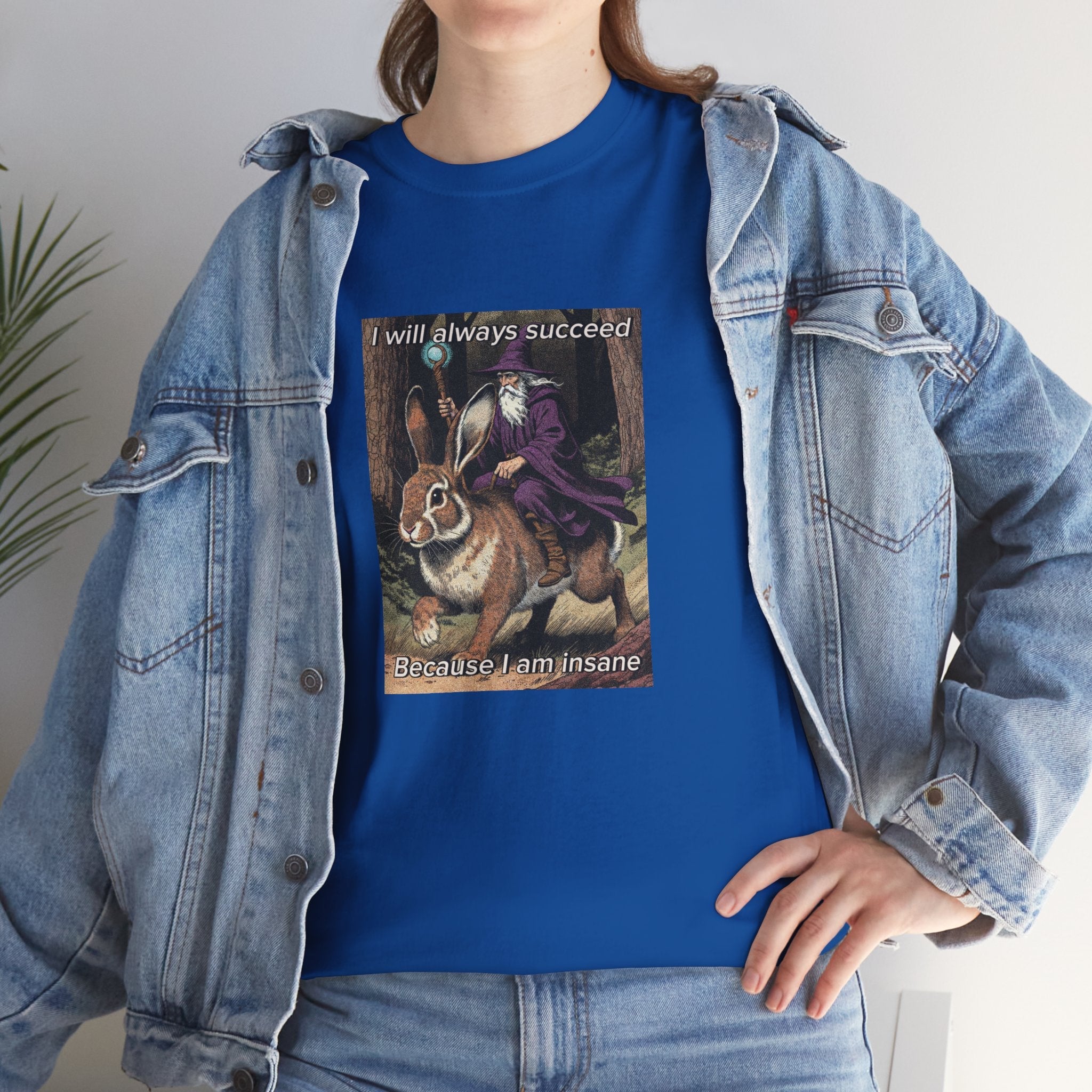 “I will always succeed because I am insane” Galactic Wizard Meme Heavyweight Cotton T-Shirt - The Galactic Wizard Emporium - T-Shirt