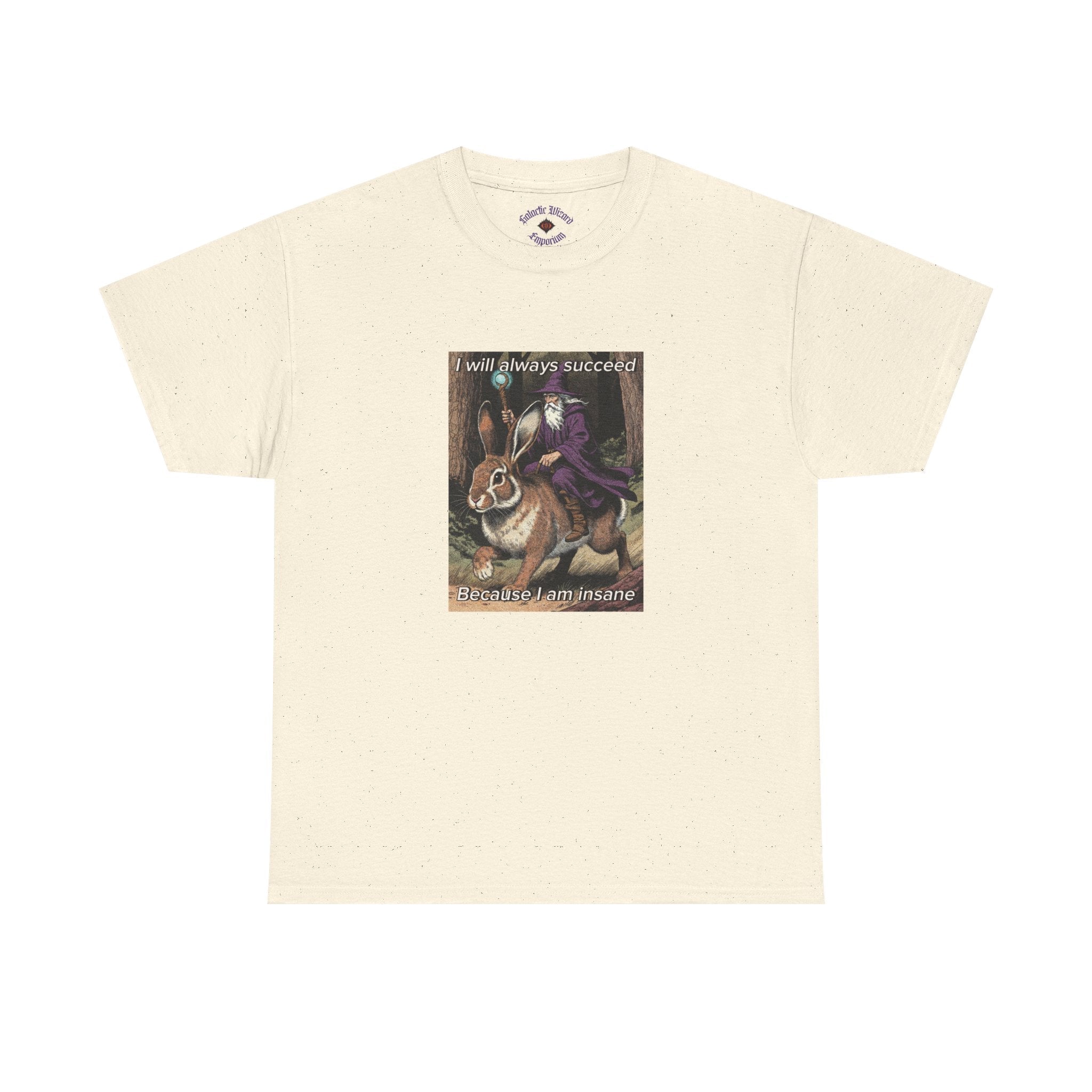 “I will always succeed because I am insane” Galactic Wizard Meme Heavyweight Cotton T-Shirt - The Galactic Wizard Emporium - T-Shirt