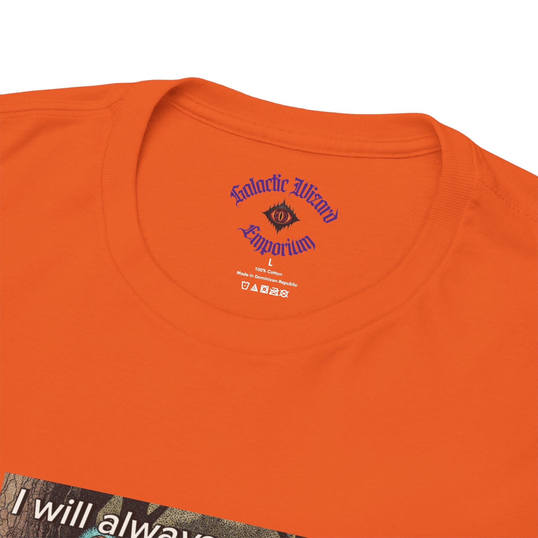 “I will always succeed because I am insane” Galactic Wizard Meme Heavyweight Cotton T-Shirt - The Galactic Wizard Emporium - T-Shirt
