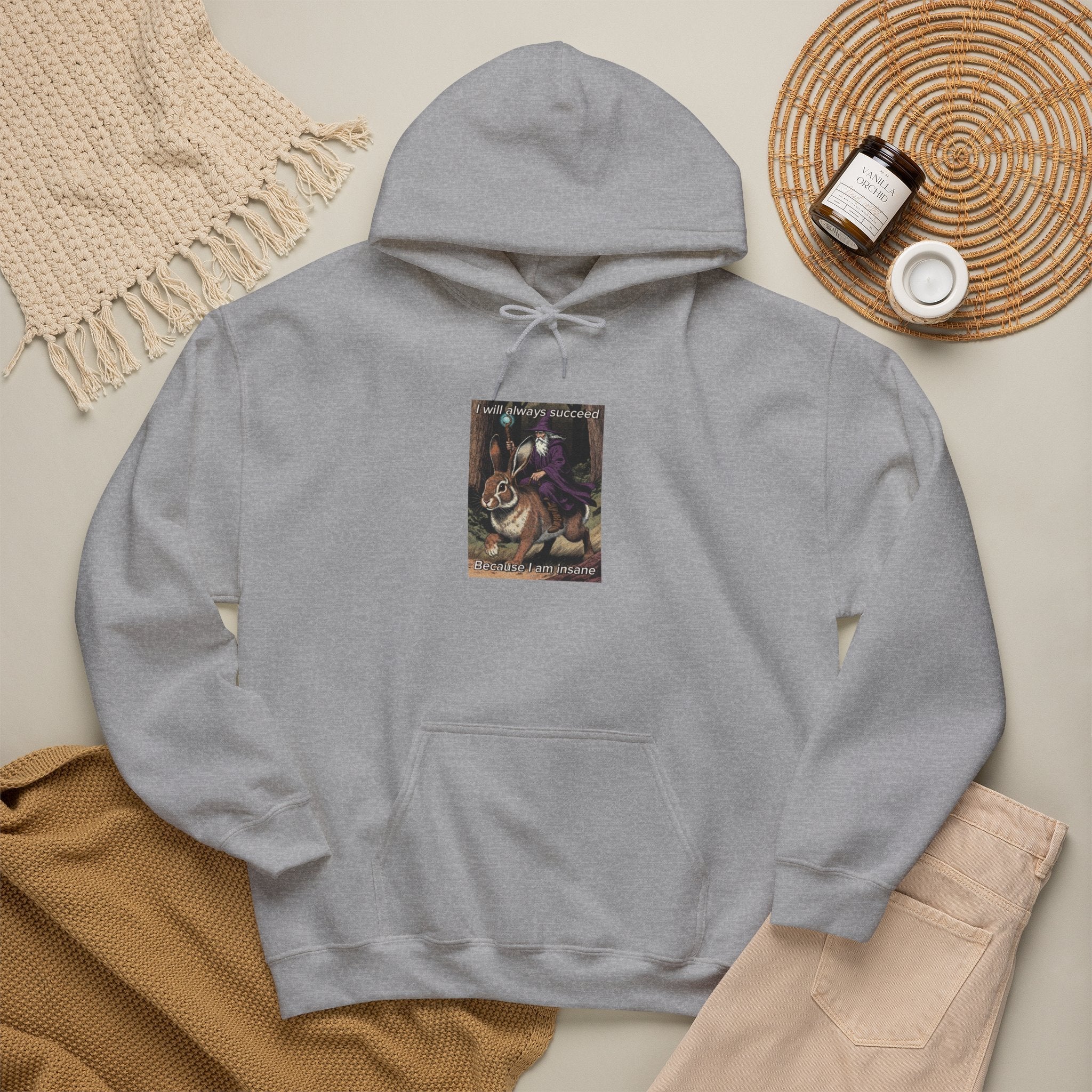 “I will always succeed because I am insane” Galactic Wizard Meme Unisex Hooded Sweatshirt - The Galactic Wizard Emporium - Hoodie