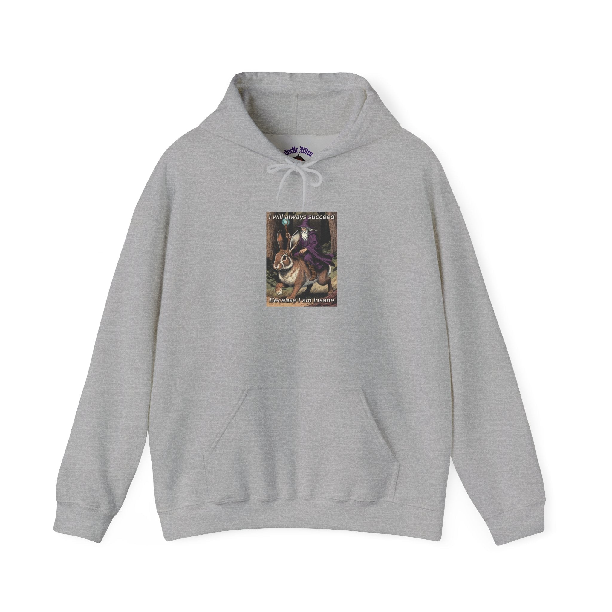 “I will always succeed because I am insane” Galactic Wizard Meme Unisex Hooded Sweatshirt - The Galactic Wizard Emporium - Hoodie