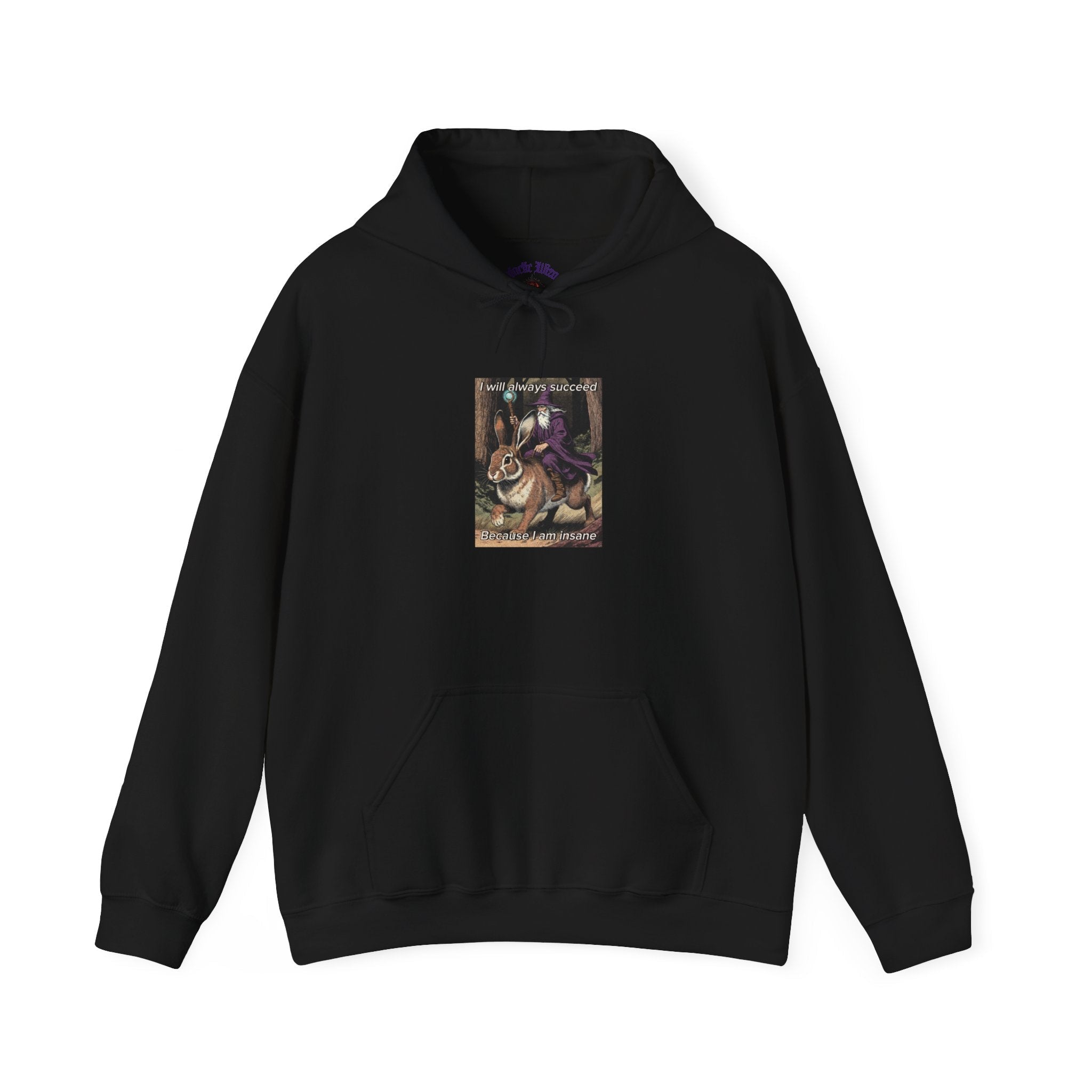 “I will always succeed because I am insane” Galactic Wizard Meme Unisex Hooded Sweatshirt - The Galactic Wizard Emporium - Hoodie
