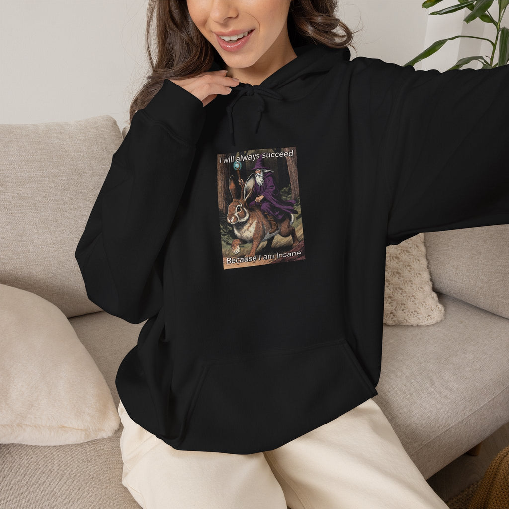 “I will always succeed because I am insane” Galactic Wizard Meme Unisex Hooded Sweatshirt - The Galactic Wizard Emporium - Hoodie