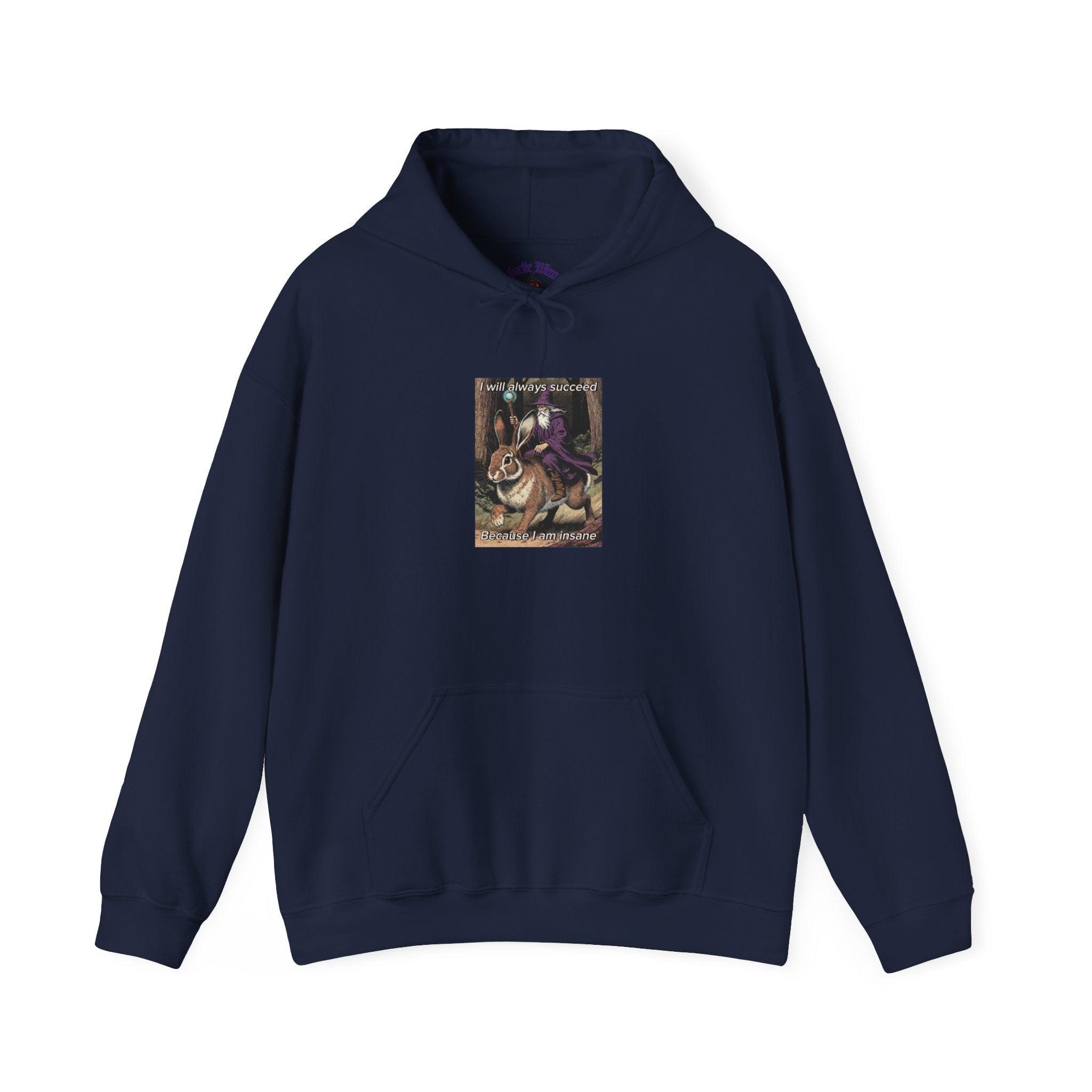 “I will always succeed because I am insane” Galactic Wizard Meme Unisex Hooded Sweatshirt - The Galactic Wizard Emporium - Hoodie