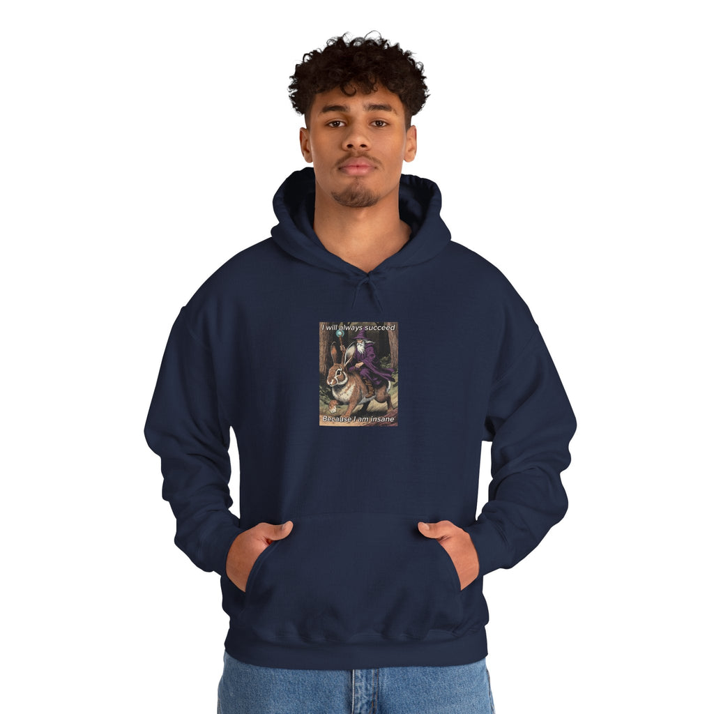 “I will always succeed because I am insane” Galactic Wizard Meme Unisex Hooded Sweatshirt - The Galactic Wizard Emporium - Hoodie