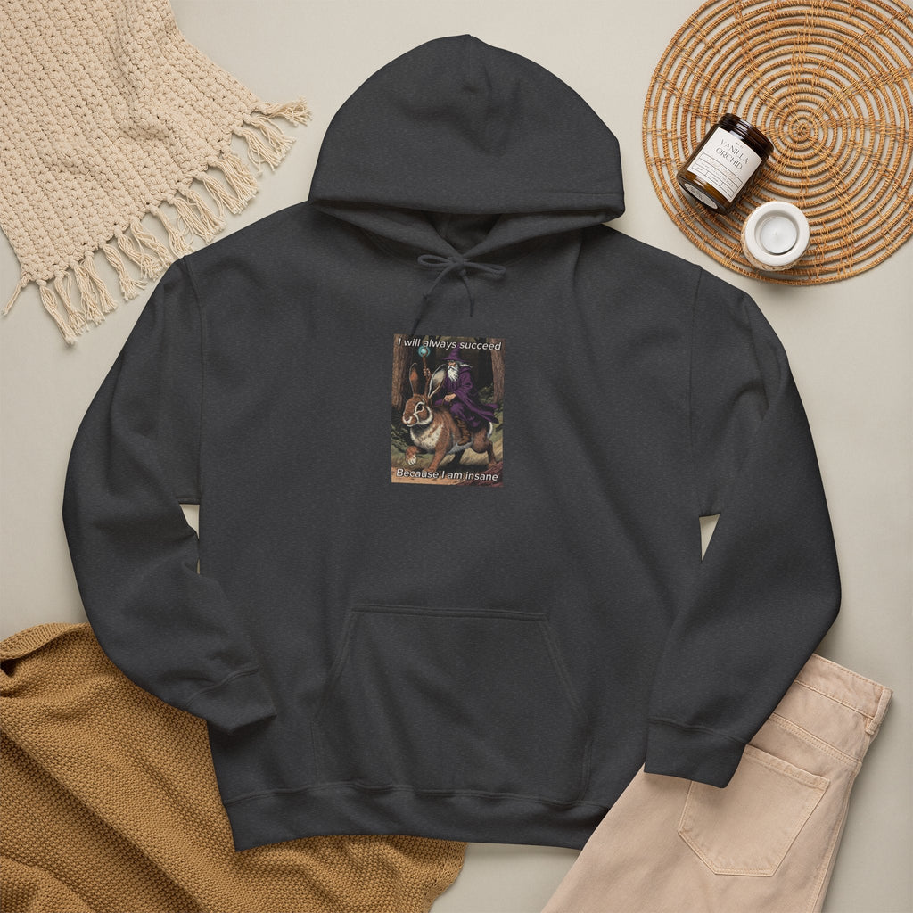 “I will always succeed because I am insane” Galactic Wizard Meme Unisex Hooded Sweatshirt - The Galactic Wizard Emporium - Hoodie