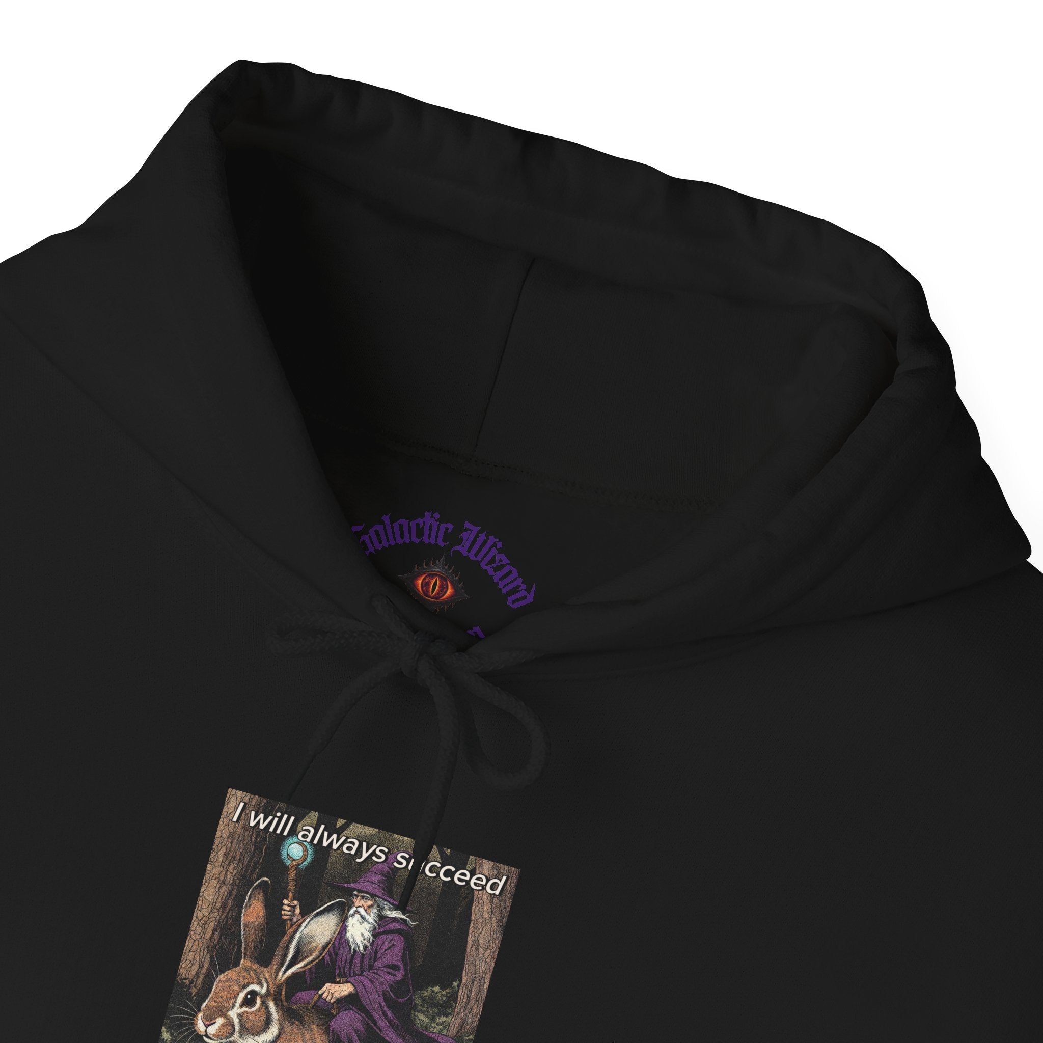 “I will always succeed because I am insane” Galactic Wizard Meme Unisex Hooded Sweatshirt - The Galactic Wizard Emporium - Hoodie