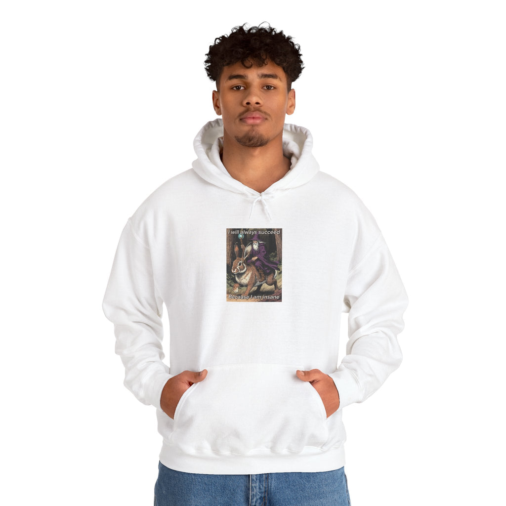 “I will always succeed because I am insane” Galactic Wizard Meme Unisex Hooded Sweatshirt - The Galactic Wizard Emporium - Hoodie