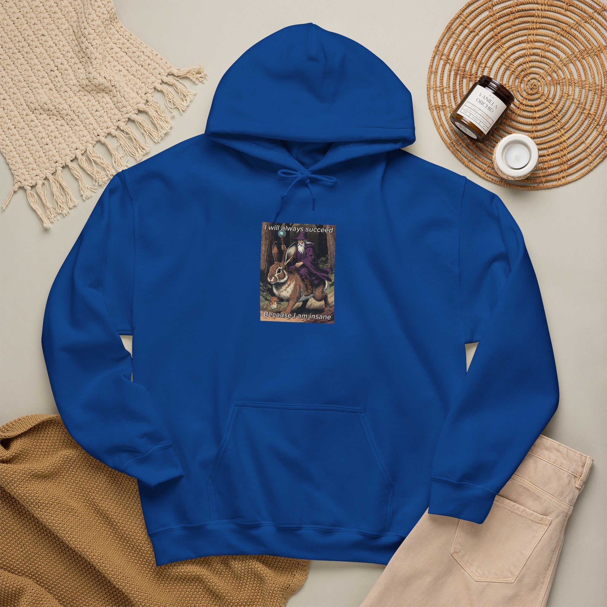 “I will always succeed because I am insane” Galactic Wizard Meme Unisex Hooded Sweatshirt - The Galactic Wizard Emporium - Hoodie