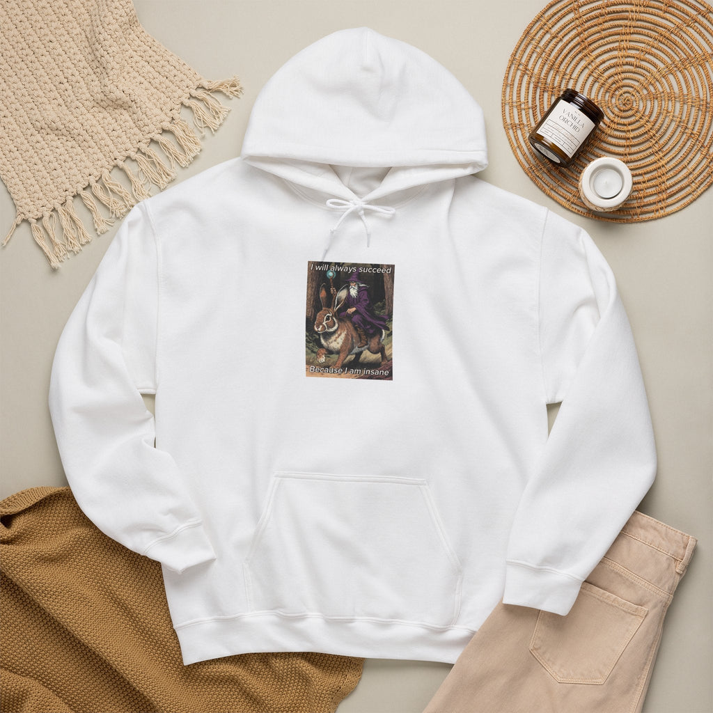 “I will always succeed because I am insane” Galactic Wizard Meme Unisex Hooded Sweatshirt - The Galactic Wizard Emporium - Hoodie