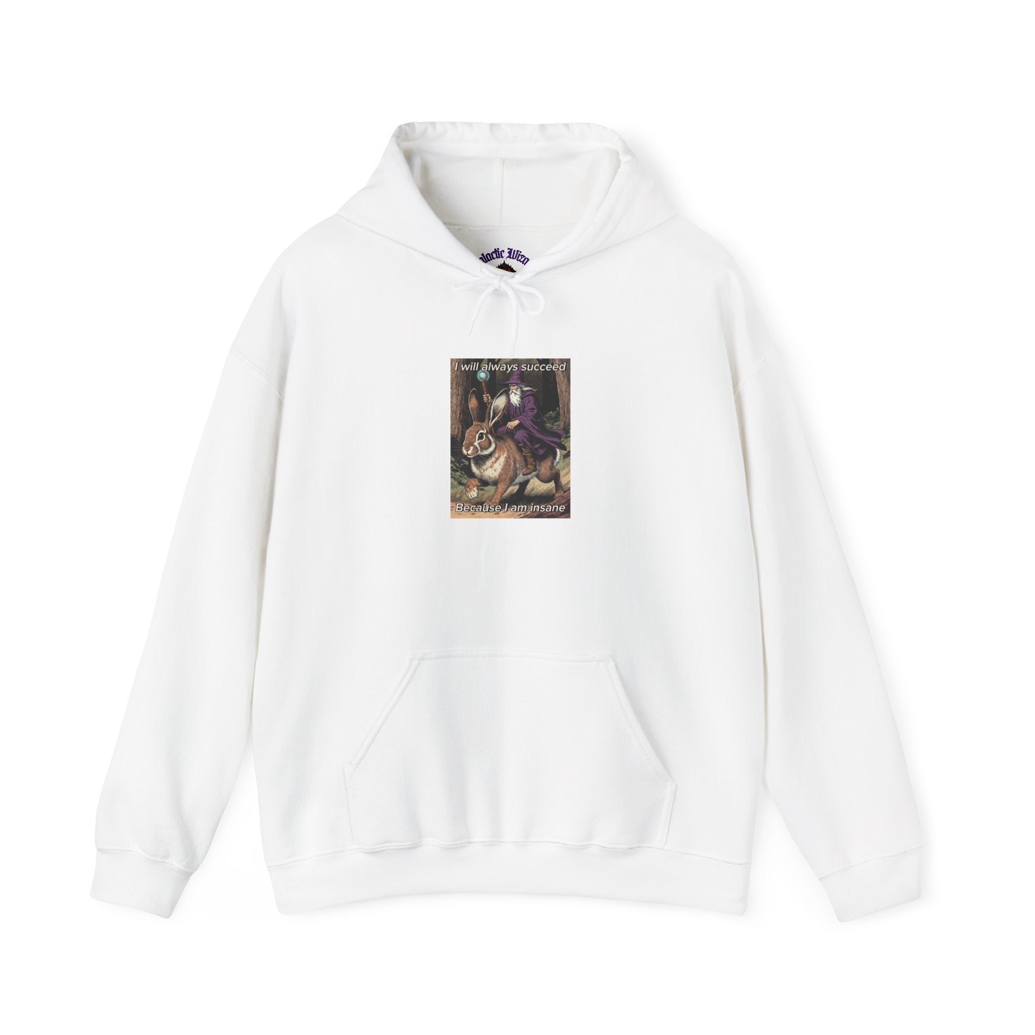 “I will always succeed because I am insane” Galactic Wizard Meme Unisex Hooded Sweatshirt - The Galactic Wizard Emporium - Hoodie
