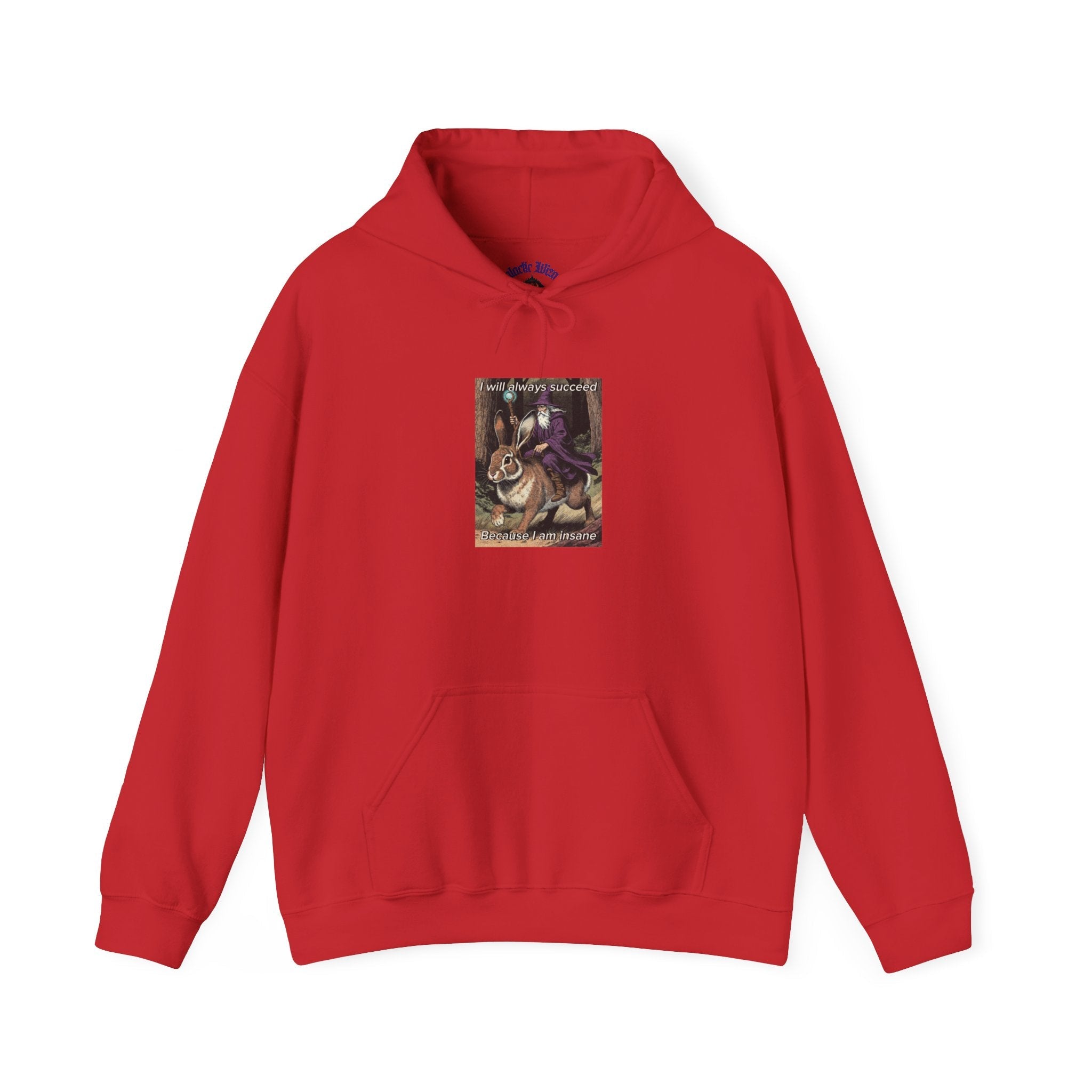 “I will always succeed because I am insane” Galactic Wizard Meme Unisex Hooded Sweatshirt - The Galactic Wizard Emporium - Hoodie