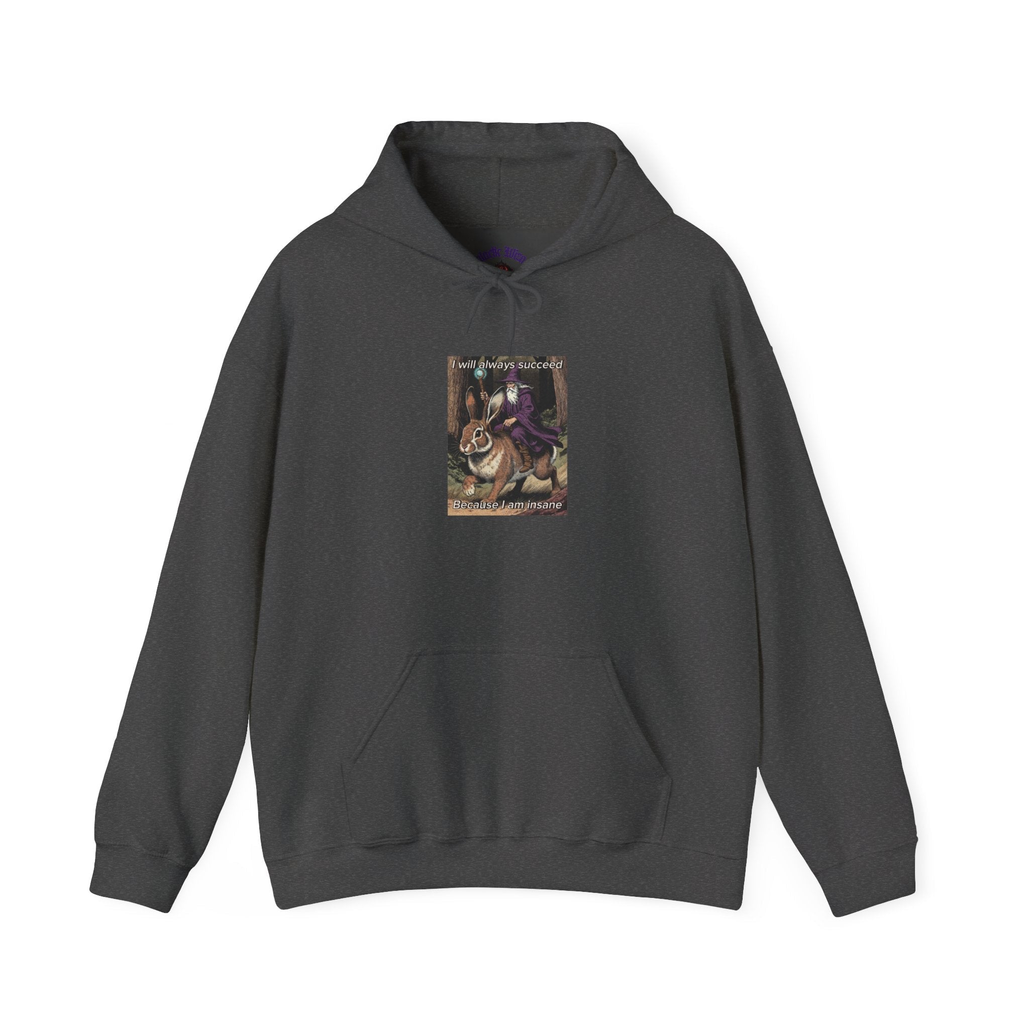 “I will always succeed because I am insane” Galactic Wizard Meme Unisex Hooded Sweatshirt - The Galactic Wizard Emporium - Hoodie