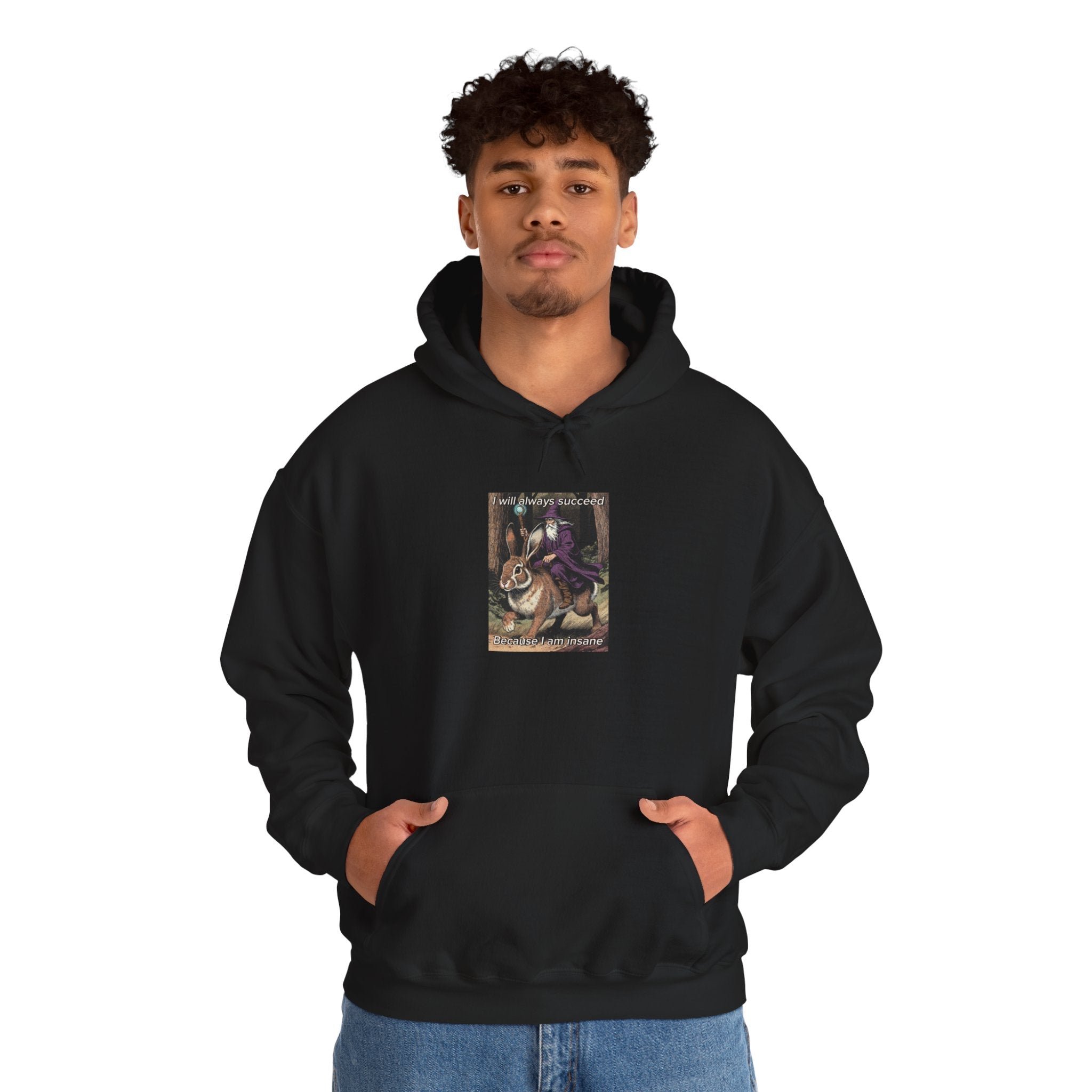 “I will always succeed because I am insane” Galactic Wizard Meme Unisex Hooded Sweatshirt - The Galactic Wizard Emporium - Hoodie